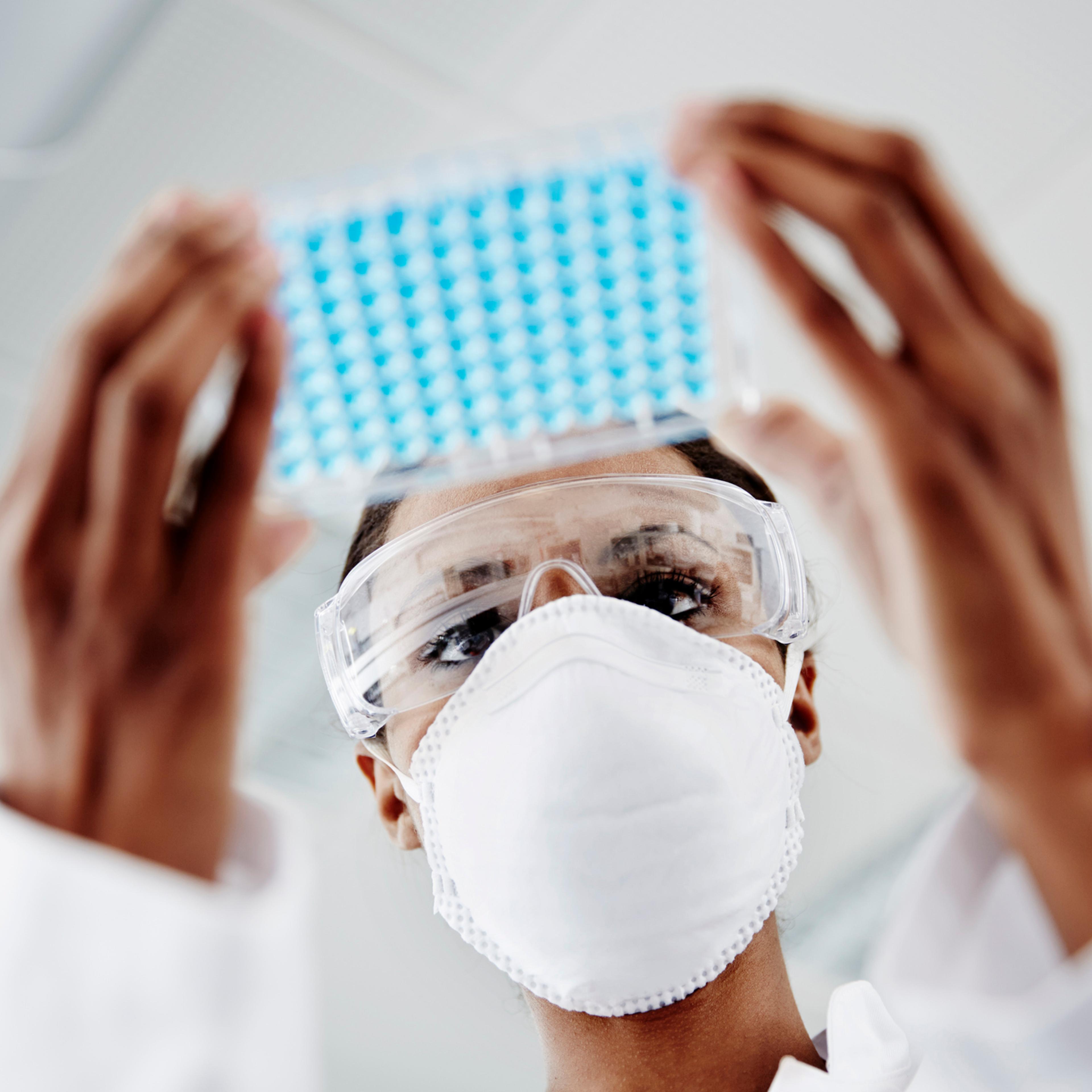 Woman examining laboratory samples
