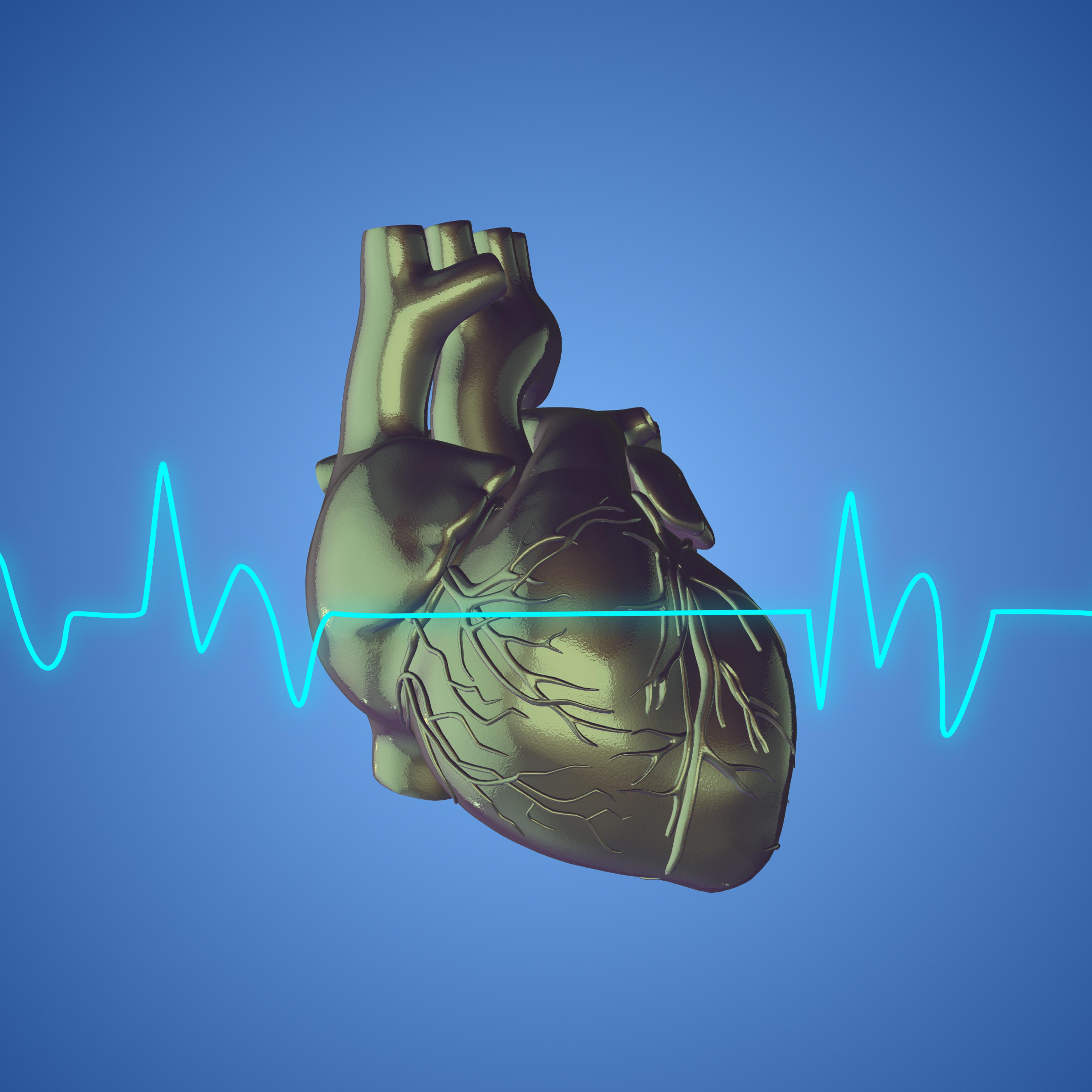 Human heart with a cardiogram line