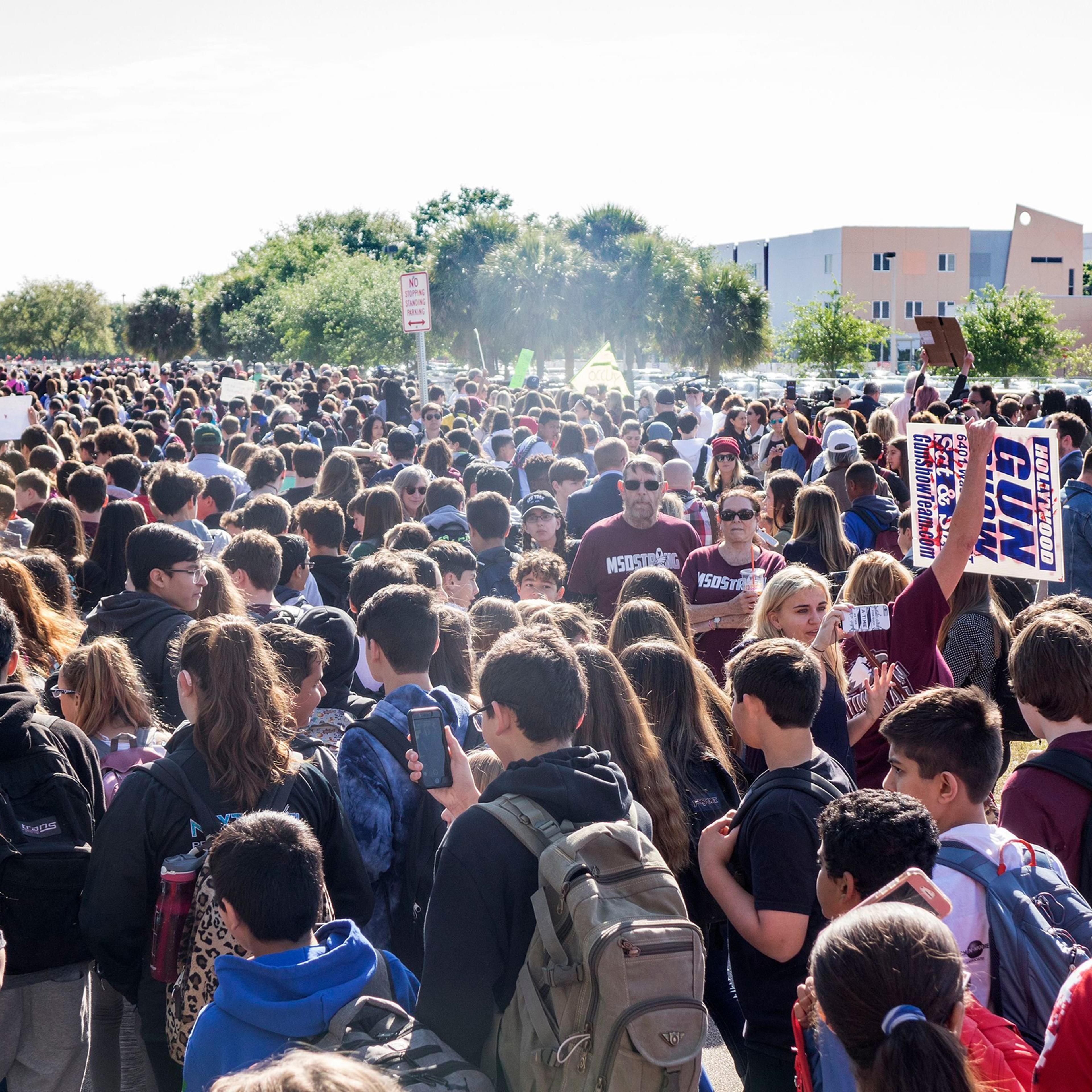 students school walkout stoneman douglas school shooting gun control Florida New York City