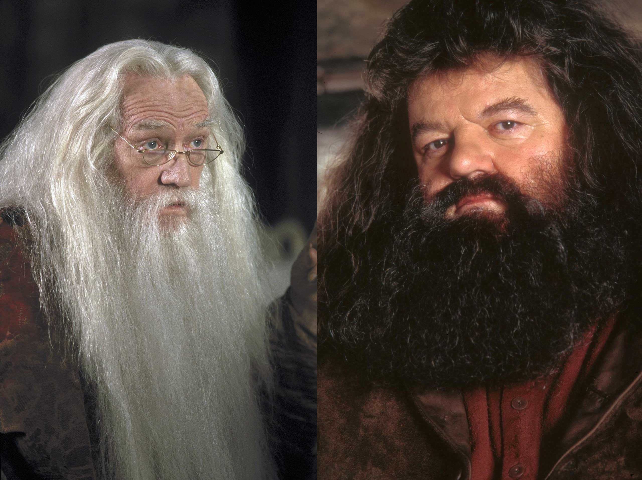 dumbledore hagrid