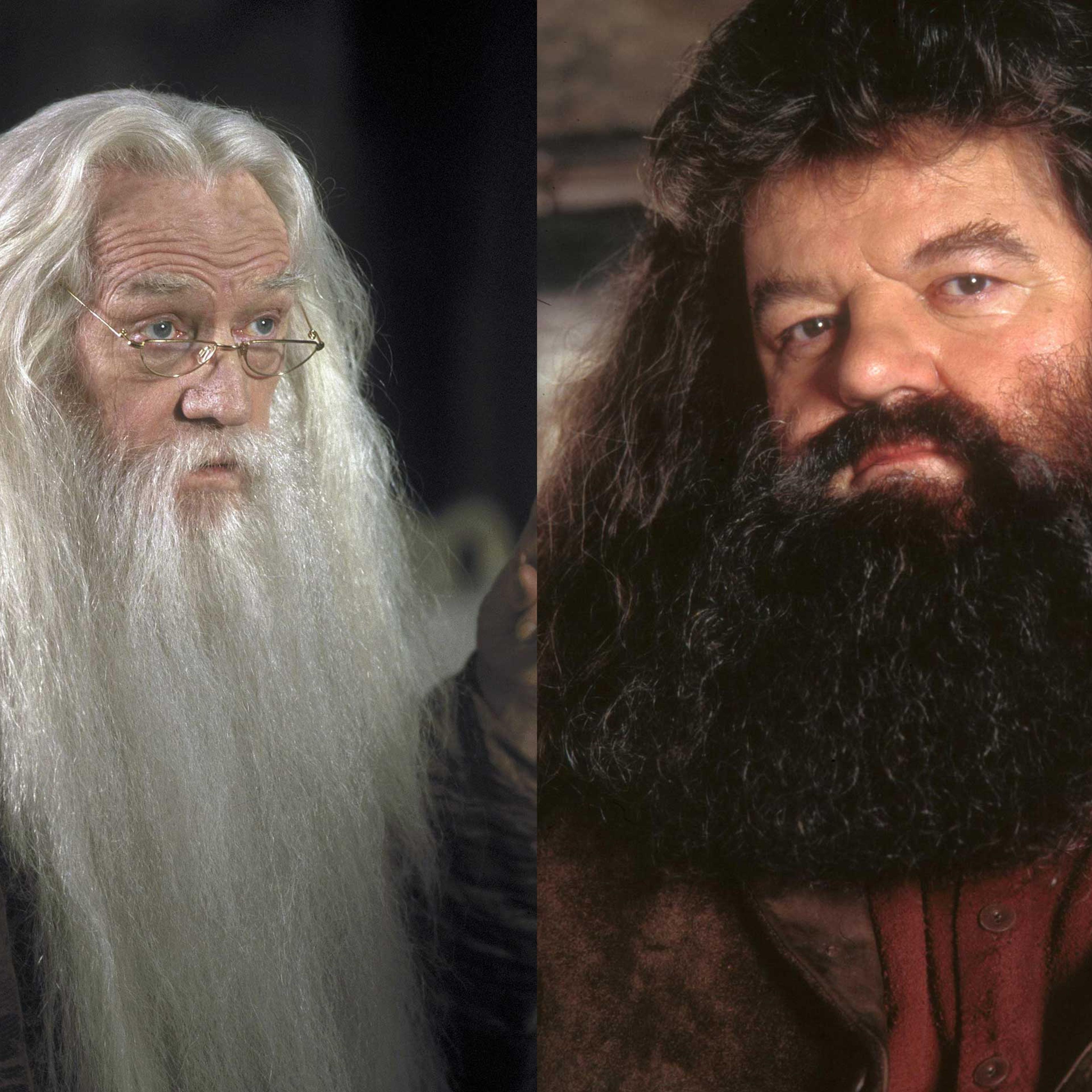 dumbledore hagrid