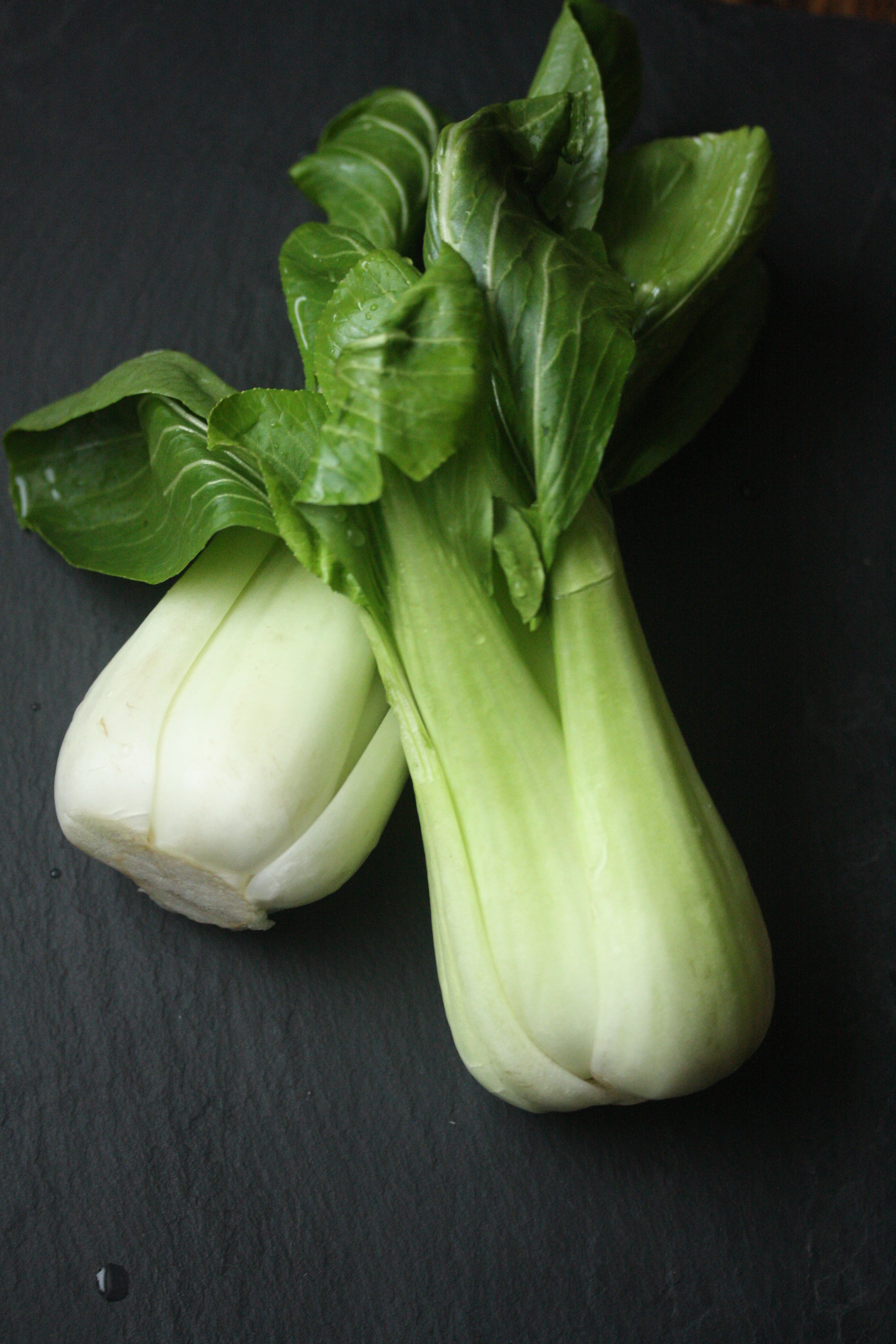 bok-choy