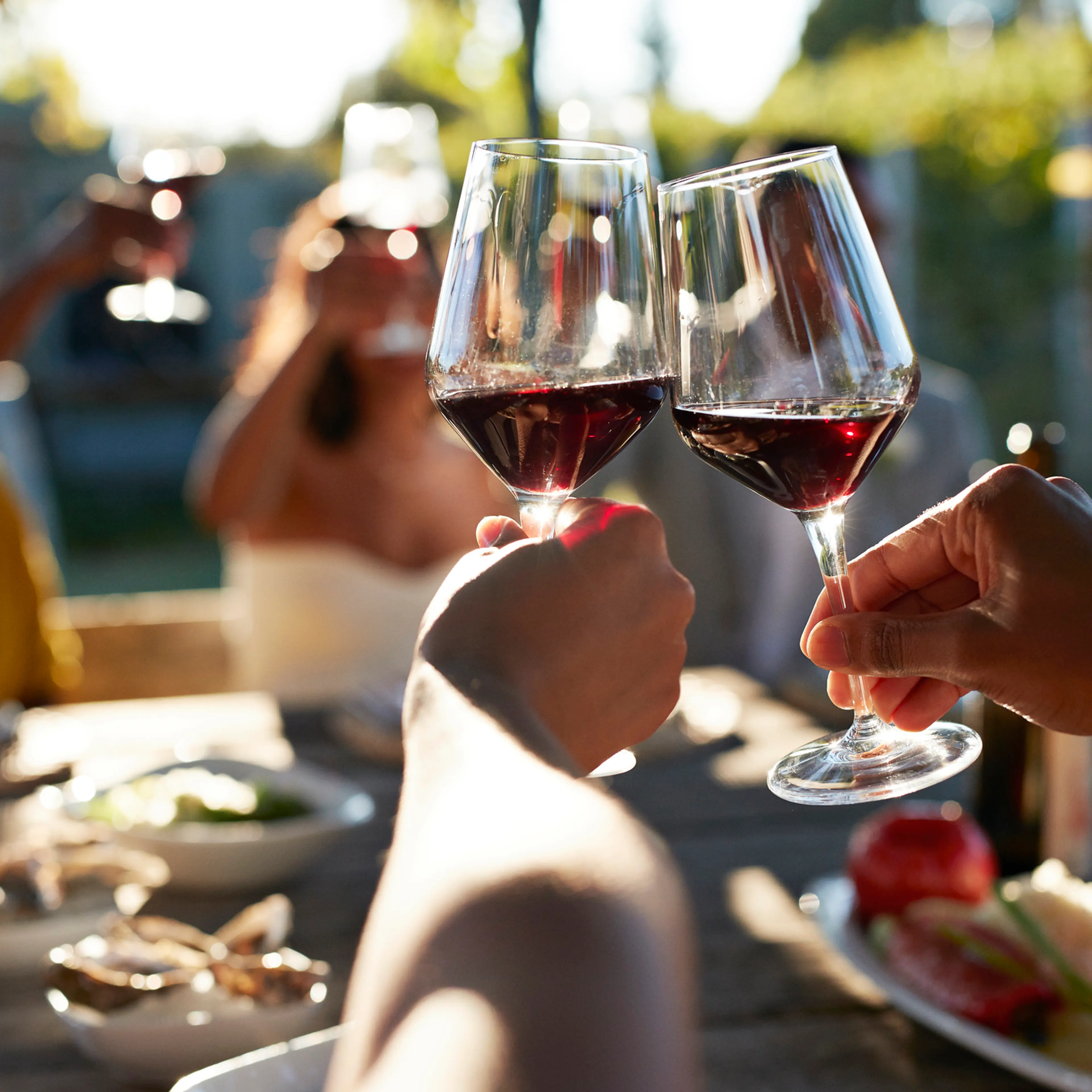 Friends toasting glasses with red wine in wedding
