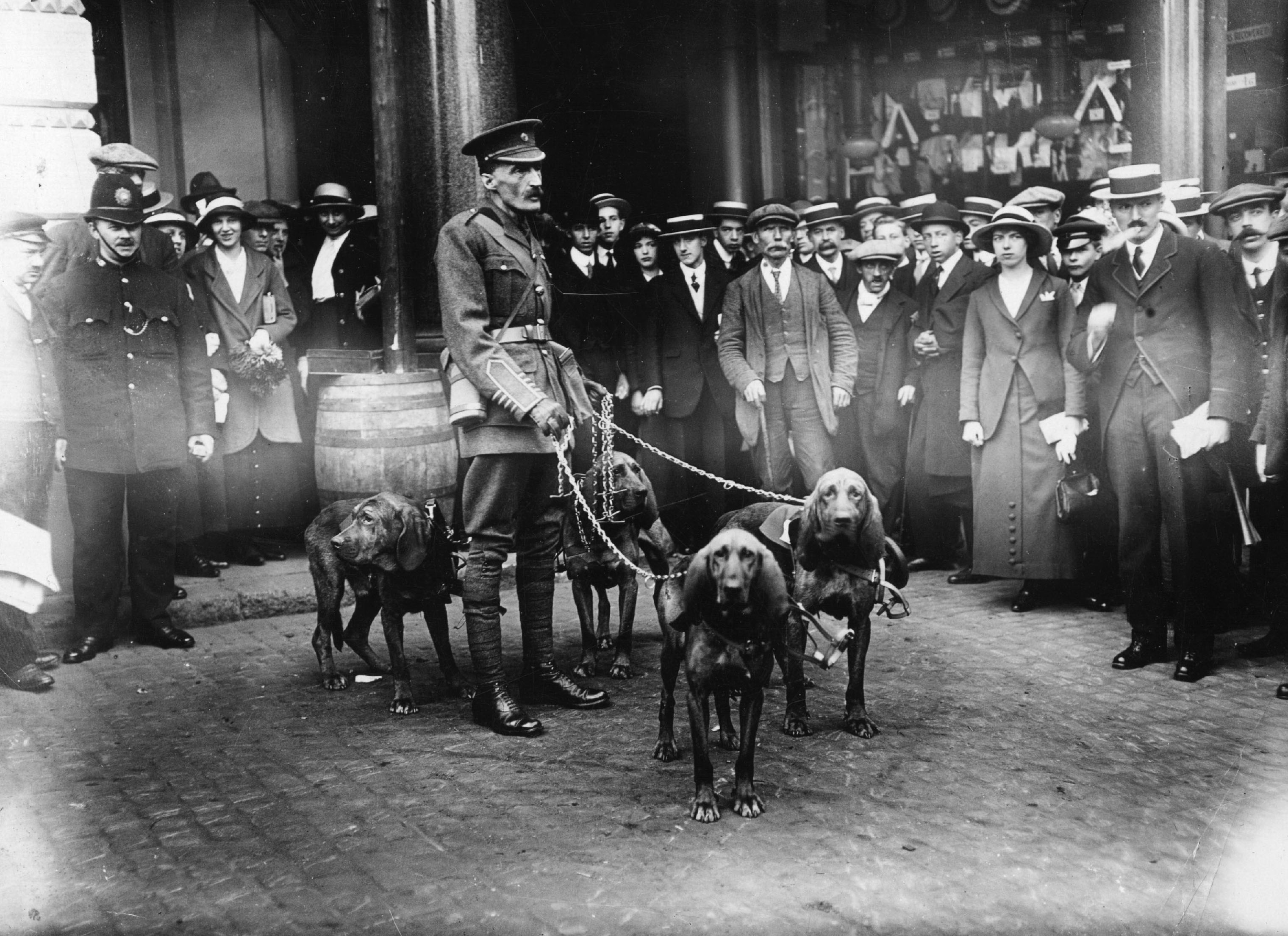 Wardogs To The Front