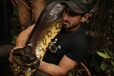 Eaten Alive Rosolie Snake