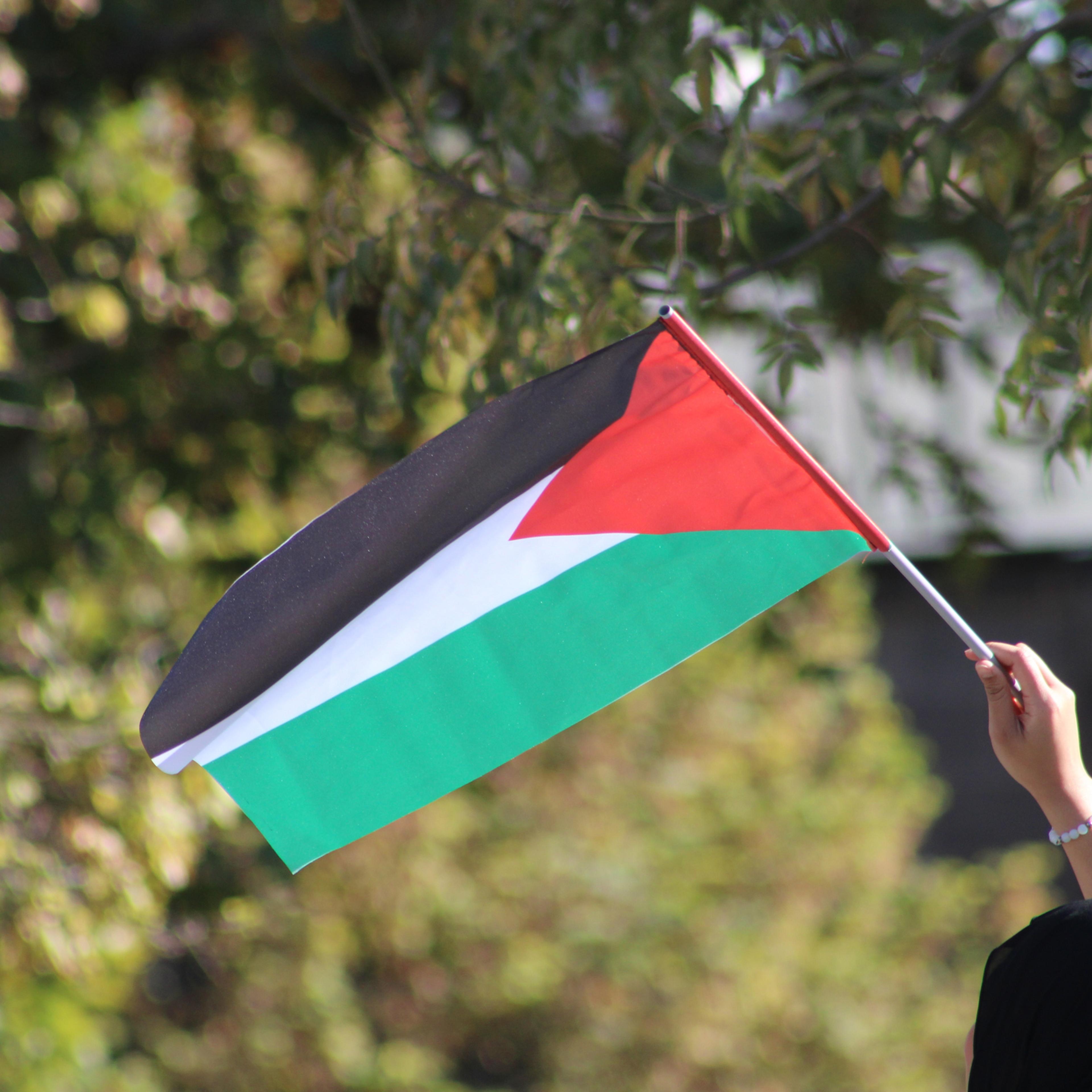 Muslim woman waving the Palestinian flag