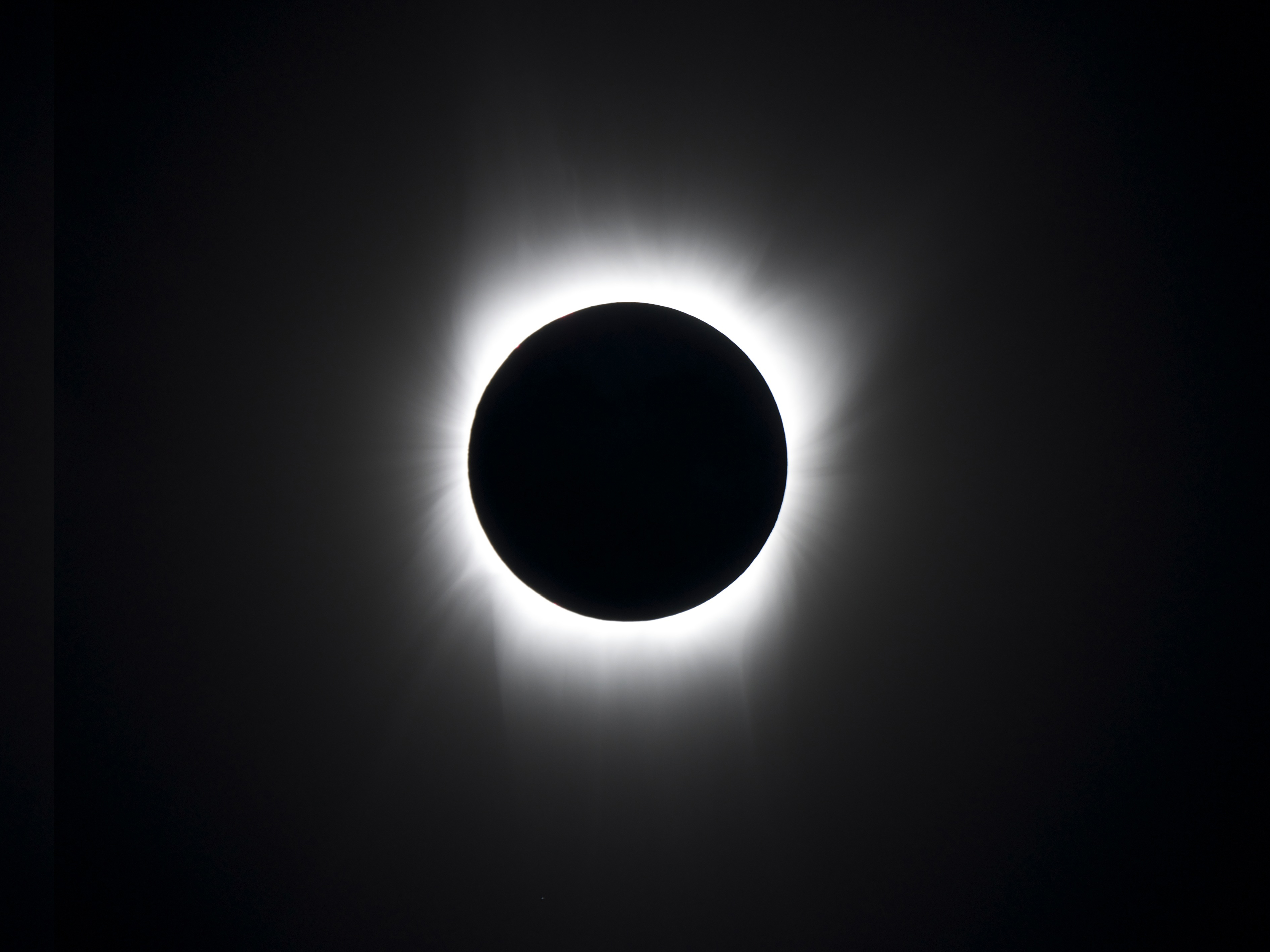 Behold the veil: A total eclipse reveals the sun's corona