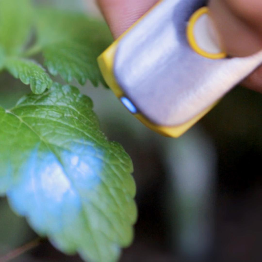 The handheld Scio scanner can detect the molecular makeup of certain objects