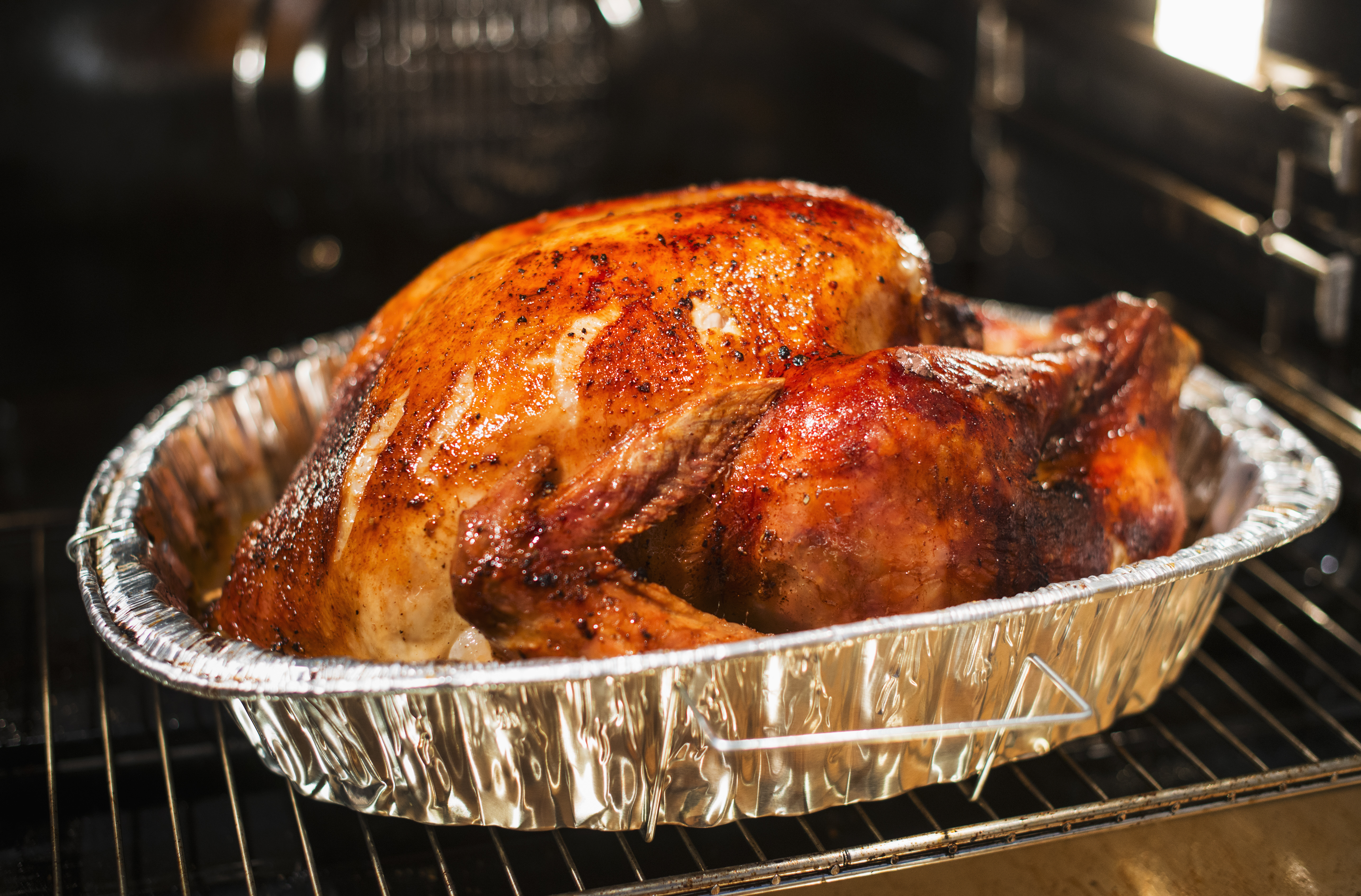turkey