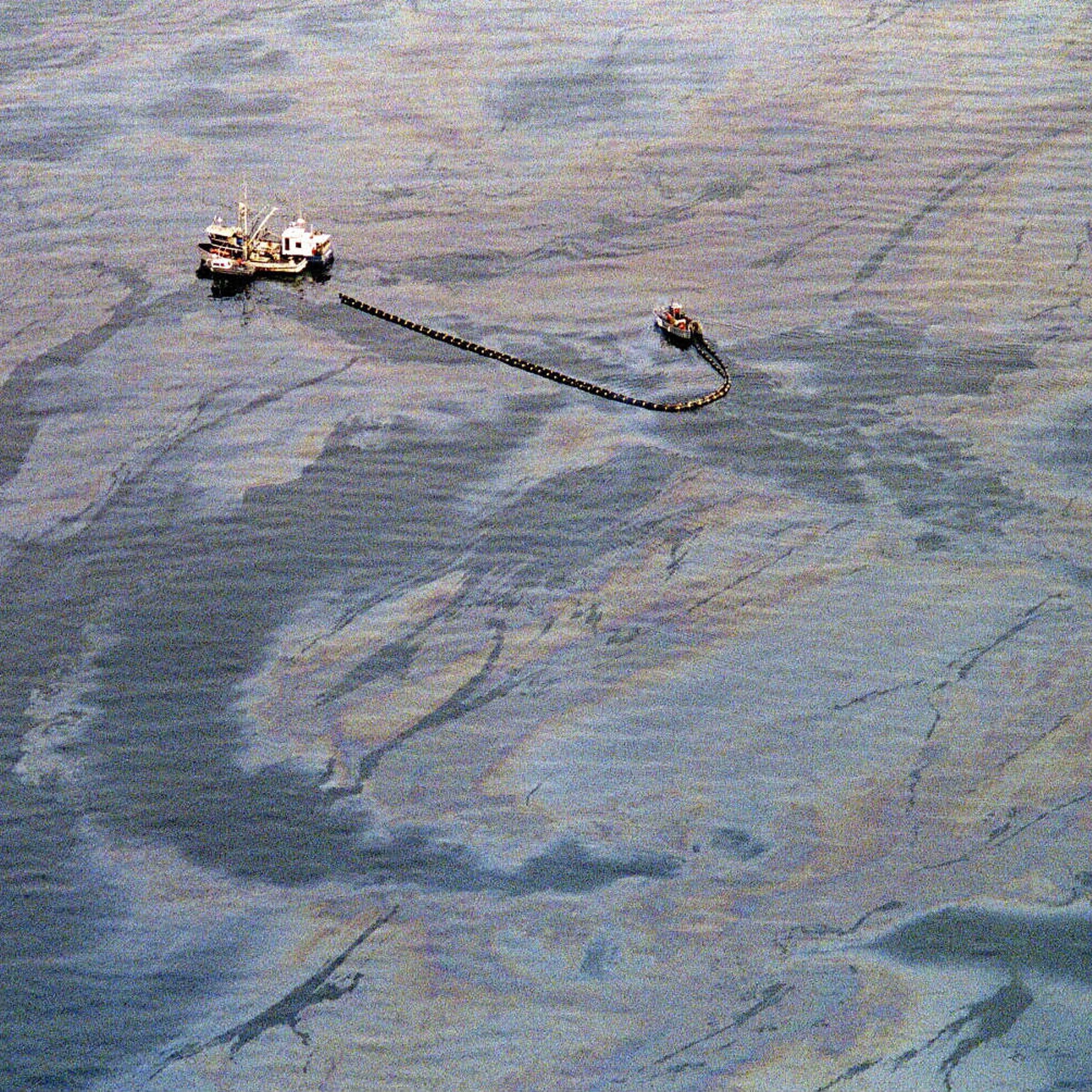 Exxon Valdez oil spill cleanup