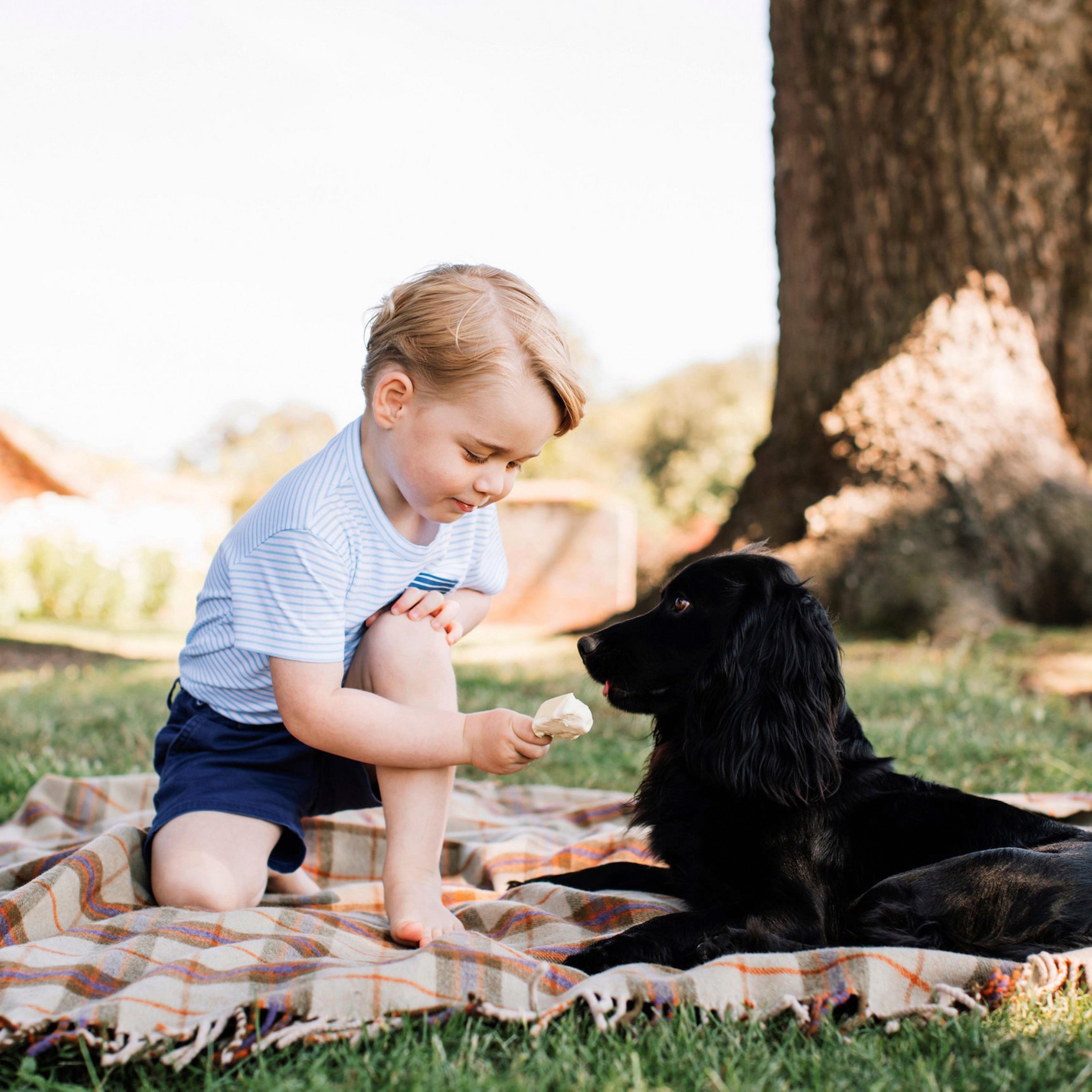 The firstborn of Prince William, Duke of Cambridge, and Catherine, Duchess of Cambridge, is a busy toddler. Now three years old, Prince George has been photographed doing everything from helping his grandmother Queen Elizabeth II mark her 90th birthday t