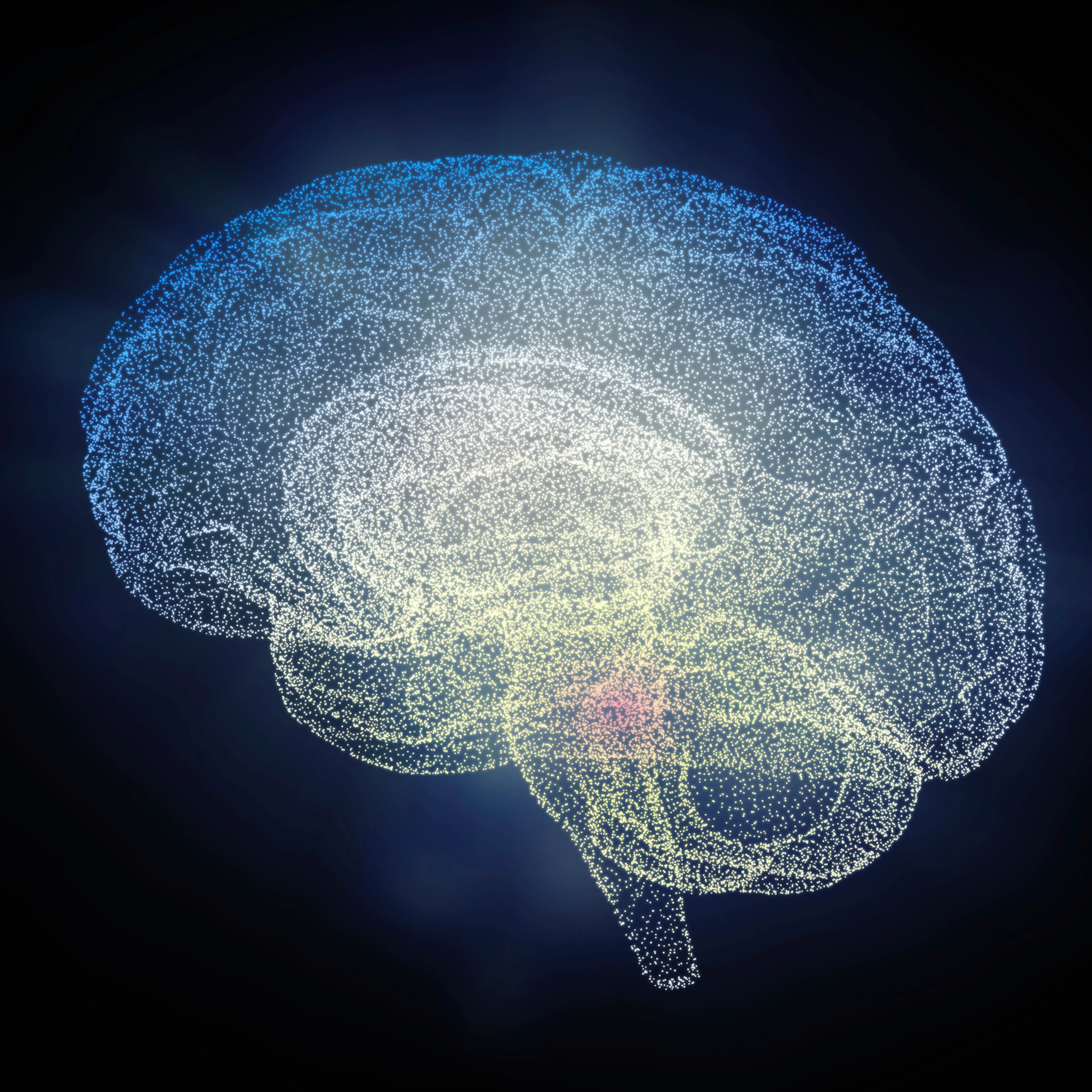 brain