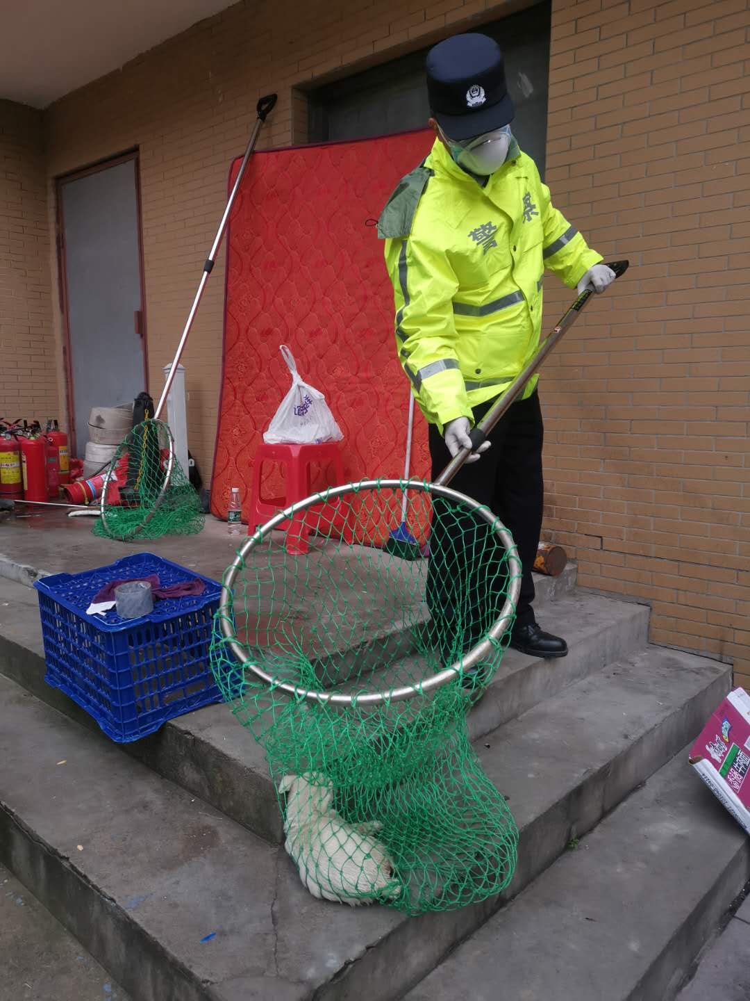 A policeman in Wuhan catches a dog on Feb. 29. He gave it to Furry Angels Haven Charity.