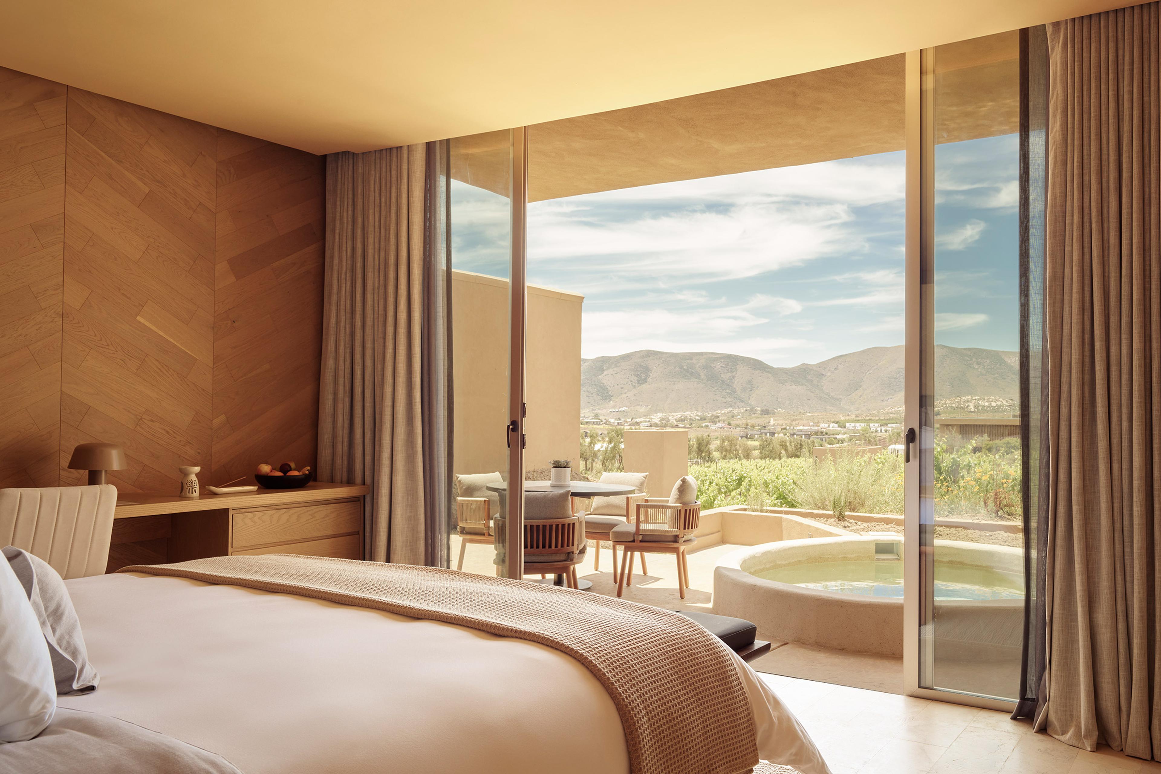 Banyan Tree Veya Valle de Guadalupe