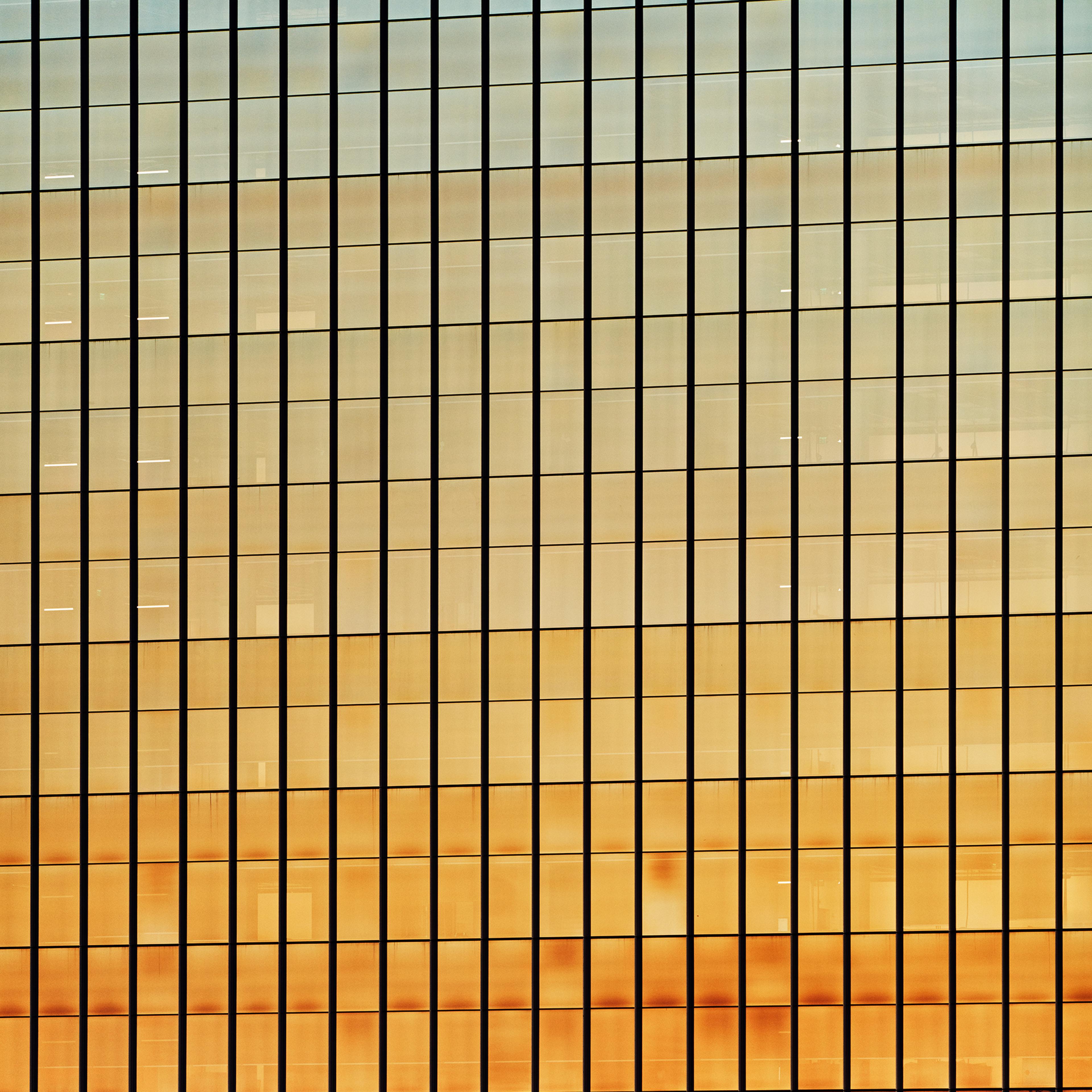 An office park on the outskirts of Austin, Texas.