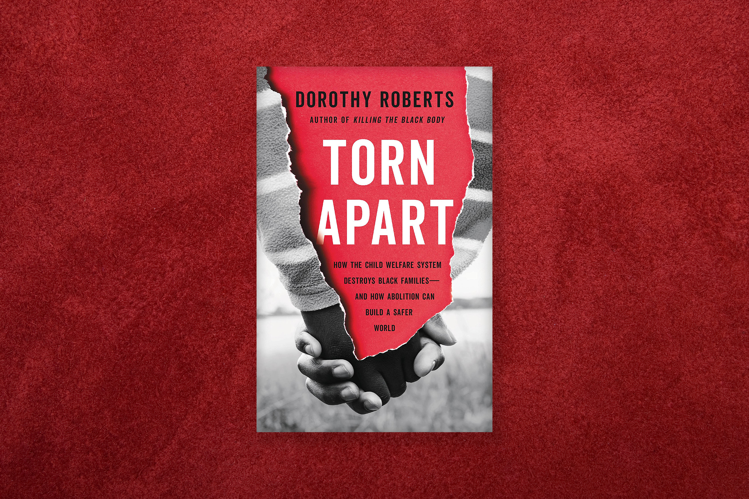 Dorothy E. Roberts's "Torn Apart: How the Child Welfare System Destroys Black Families--and How Abolition Can Build a Safer World."