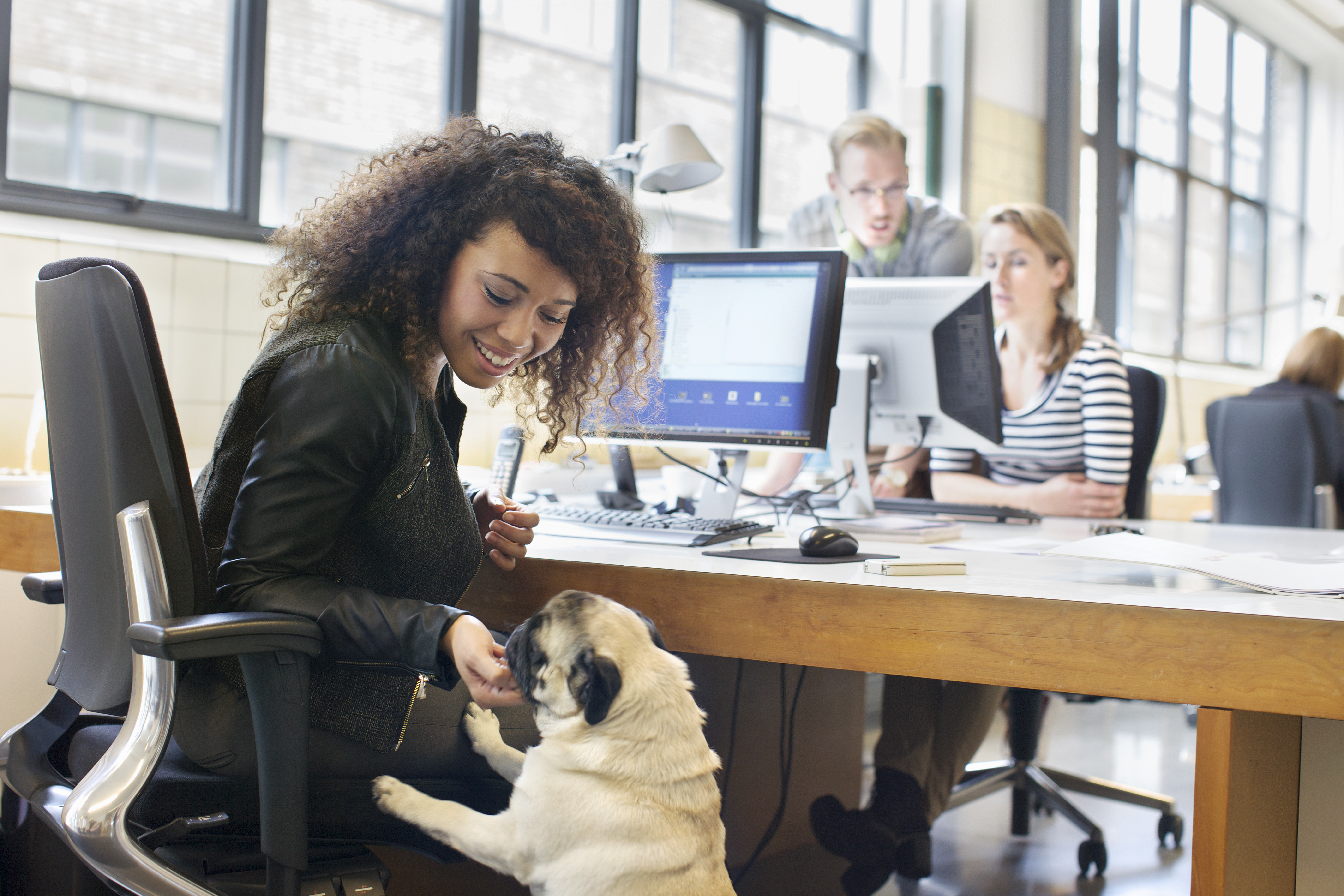 Young woman petting dog at office desk