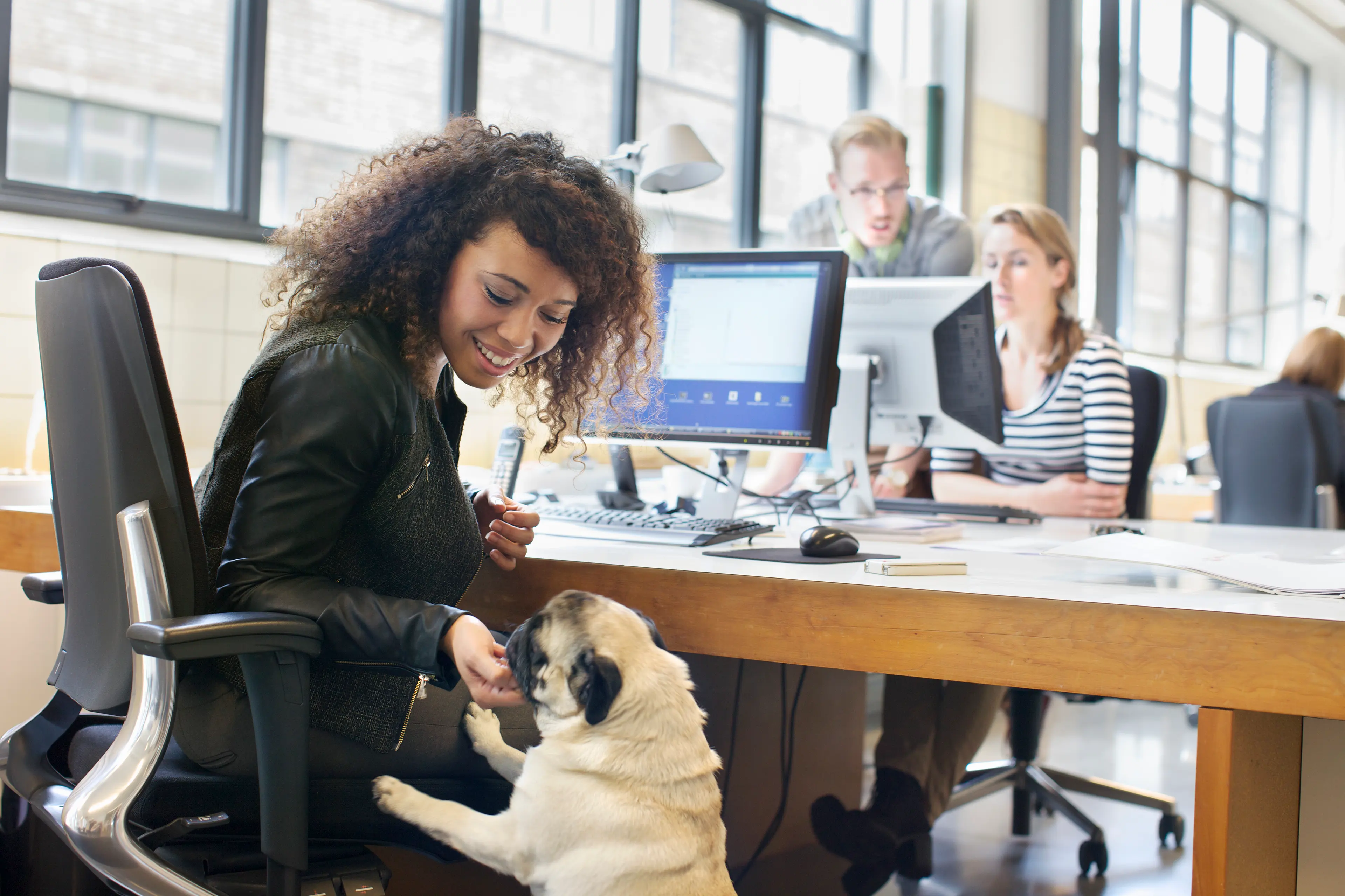 Young woman petting dog at office desk
