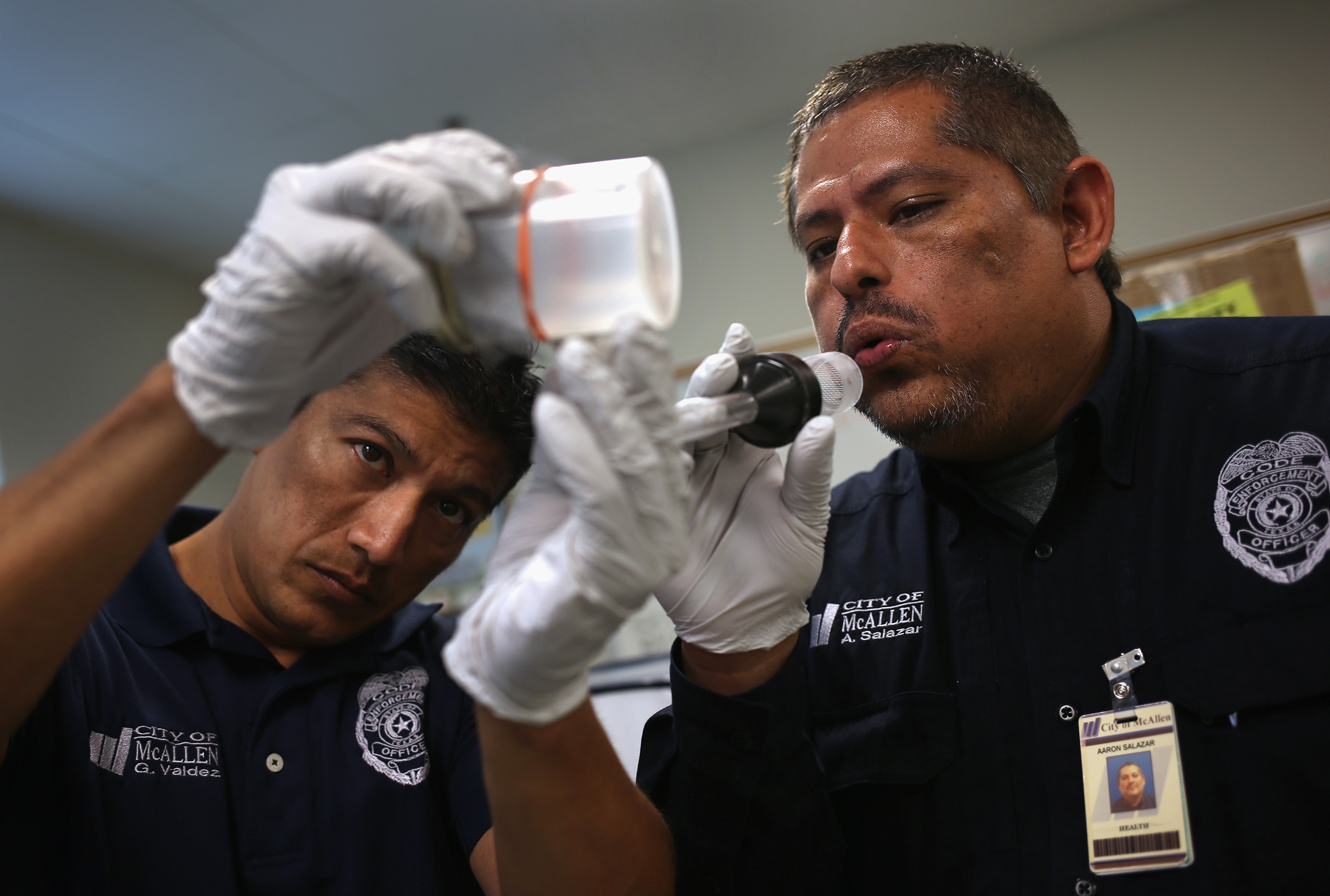 City environmental health specialists Gerardo Valdez (L), and Aaron Salazar transfer live mosquitos caught for testing in McAllen, Texas, on April 14, 2016.