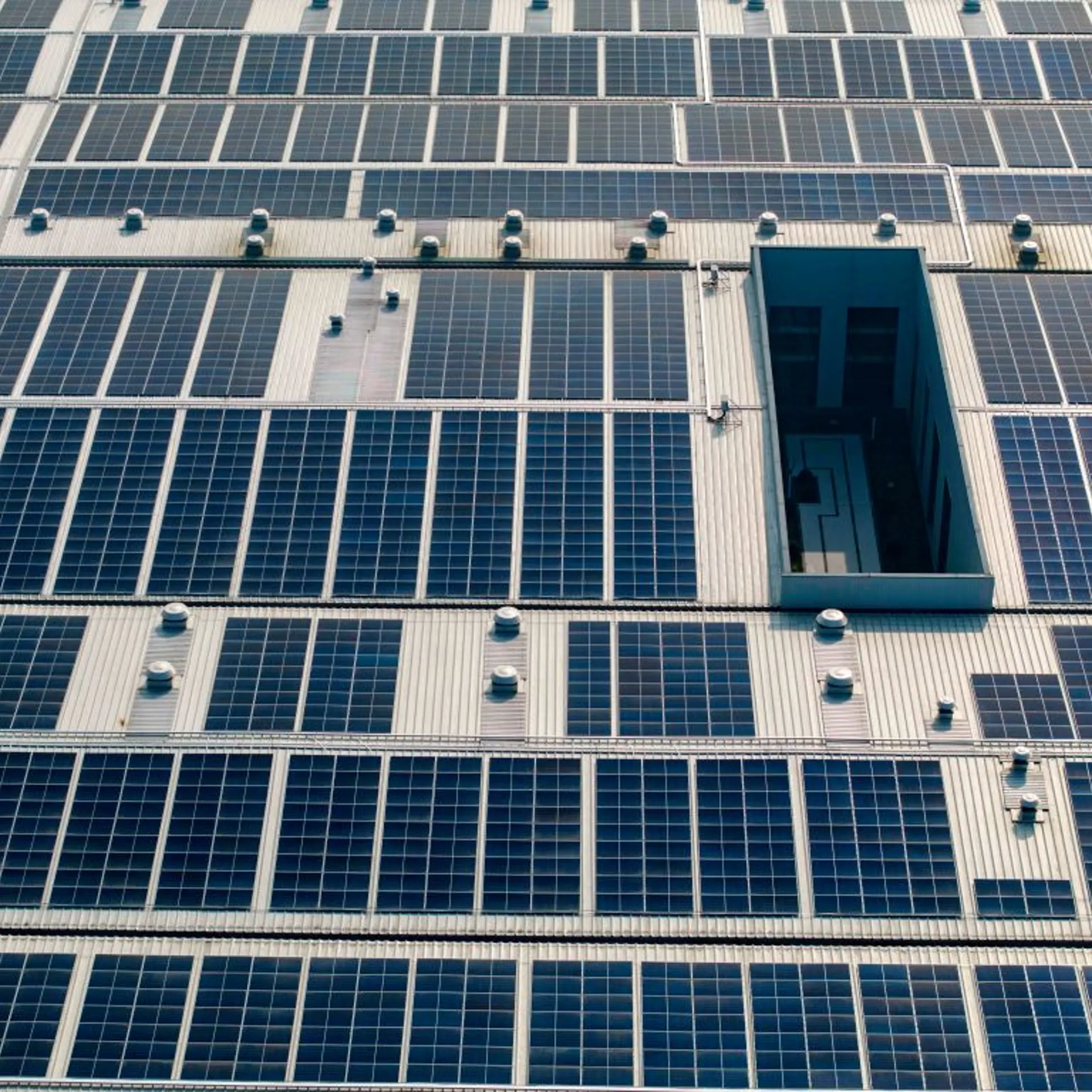 Plant Roof Photovoltaic Power Generation