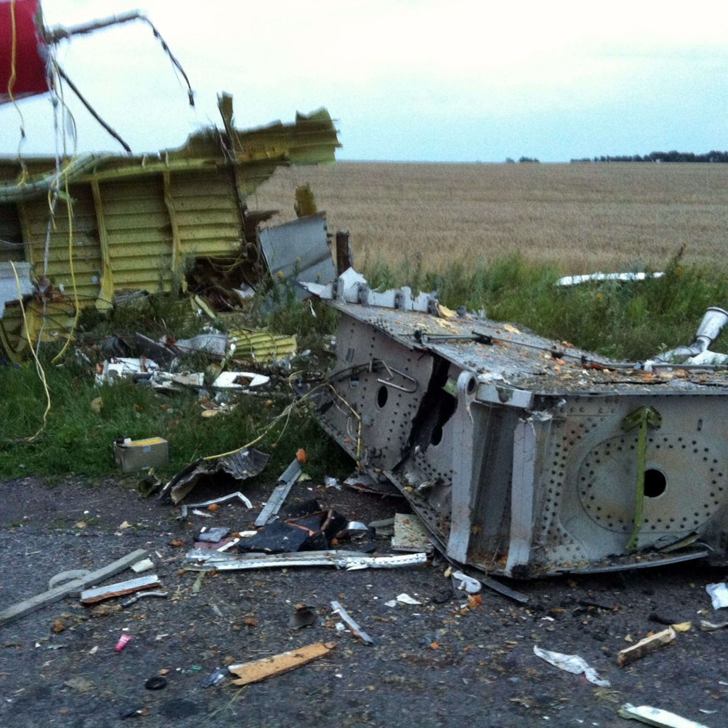 Wreckage of the malaysian airliner carrying 295 people from Amsterdam to Kuala Lumpur after it crashed, in rebel-held east Ukraine July 17, 2014.
