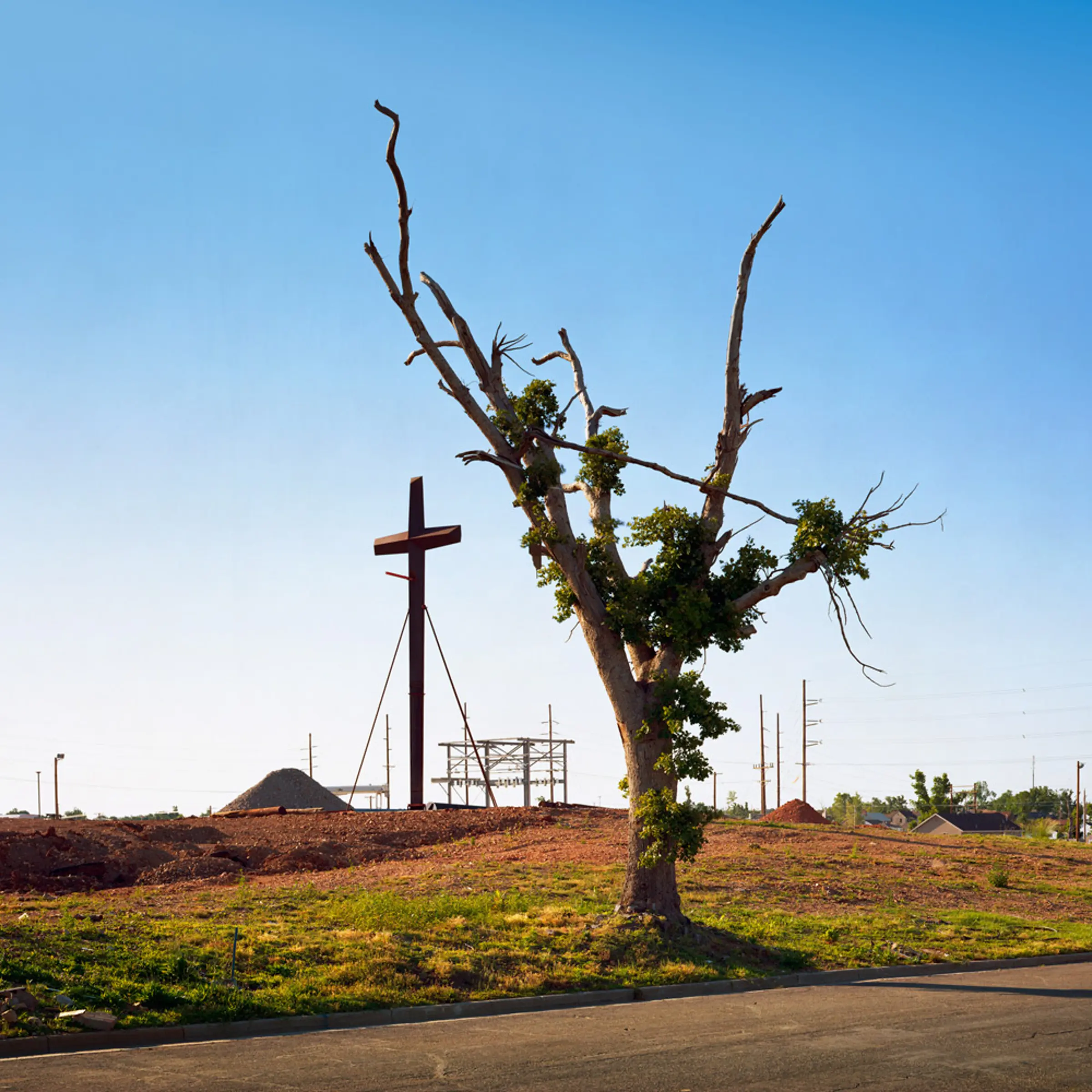 An oak tree comes back near the site of St. Mary's church, which was completely destroyed except for its cross. The tree is along S. Moffet Street.