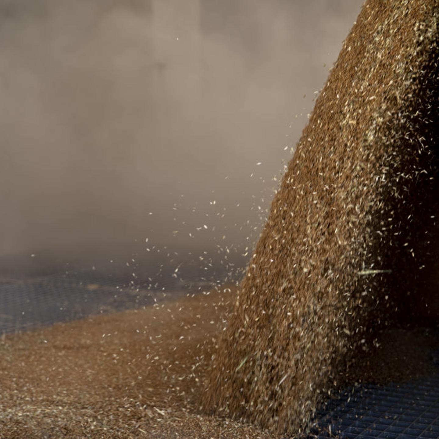 IKRG aims to buy all the wheat from farmers due to "crisis in food security"