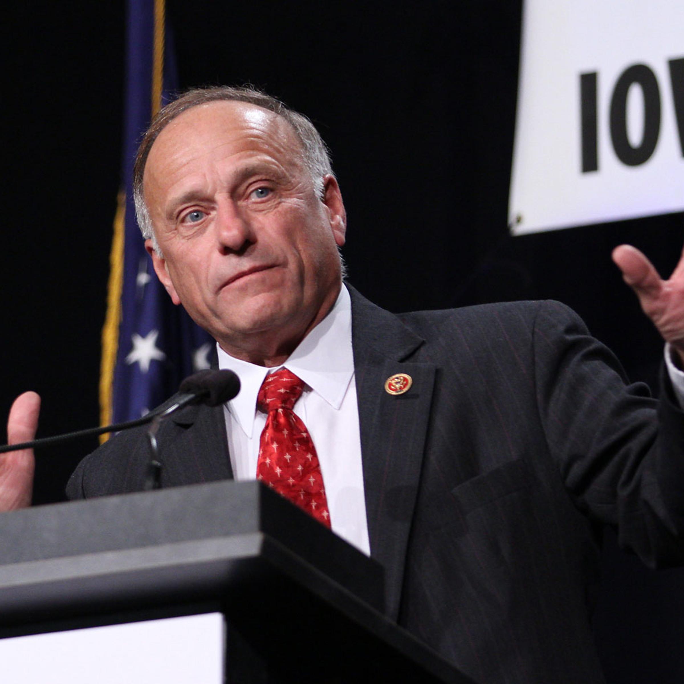 Rep. Steve King speaks during the Iowa Faith and Freedom Coalition's Friends of the Family Banquet in Des Moines, Iowa, Nov. 9, 2013.