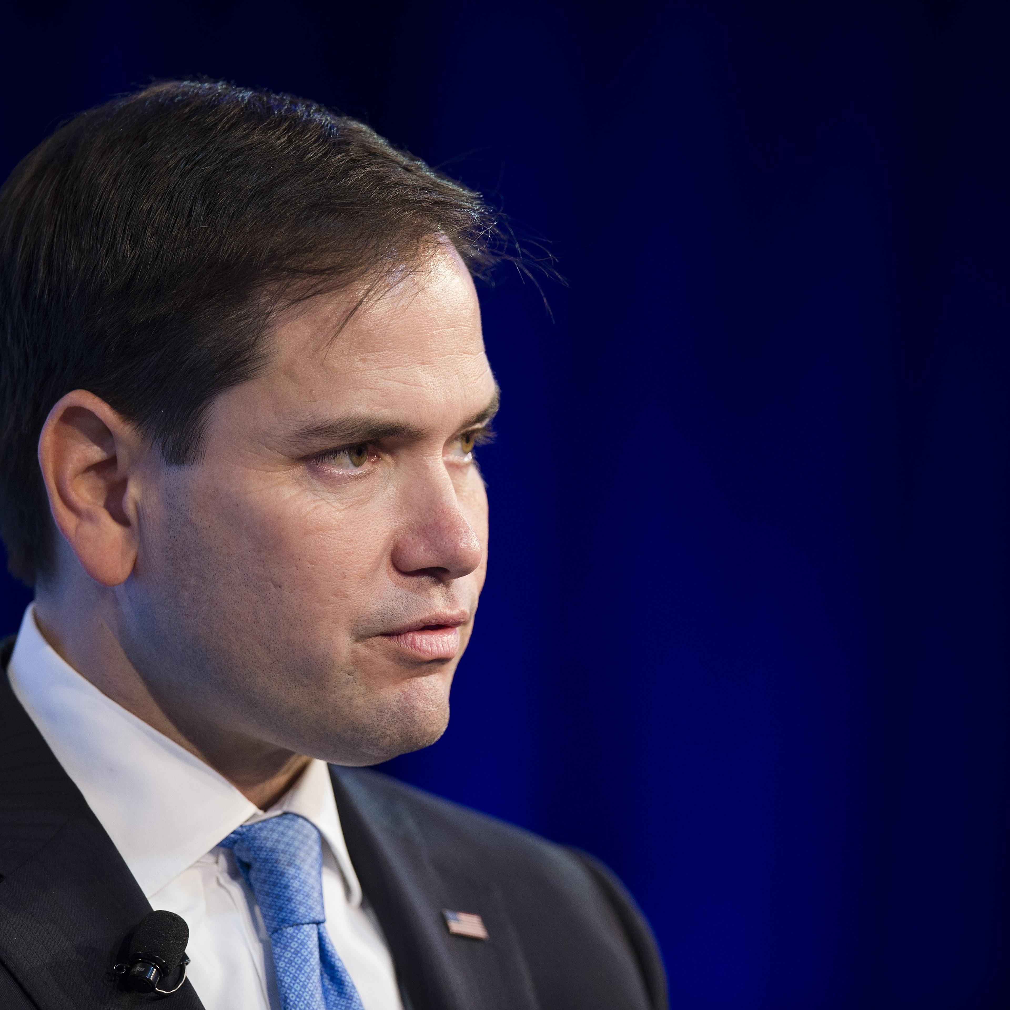 Republican presidential candidate Marco Rubio speaks at the Wall Street Journal CEO Council meetings in Washington, DC on Nov. 16, 2015.