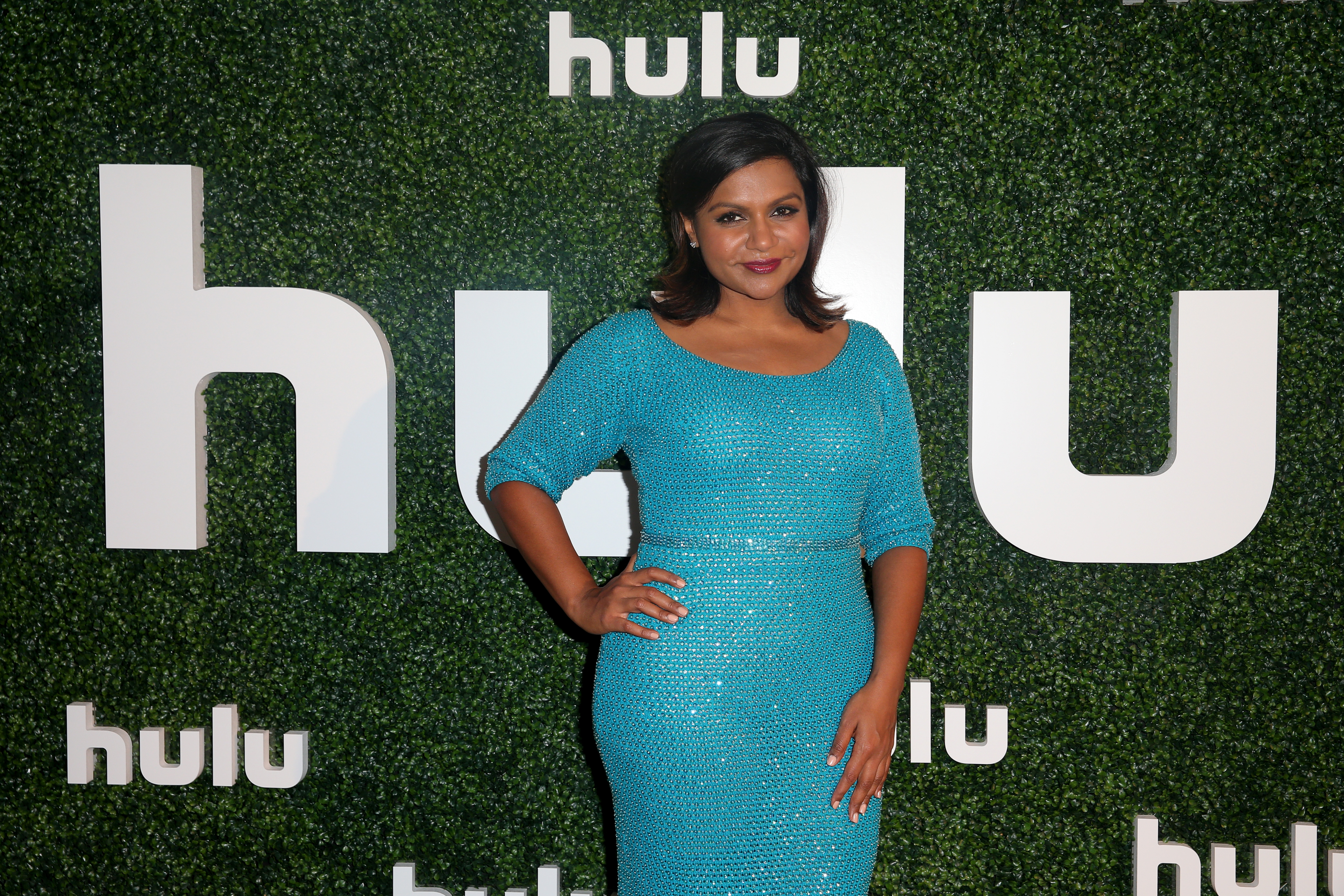 Hulu 2015 Summer TCA Presentation