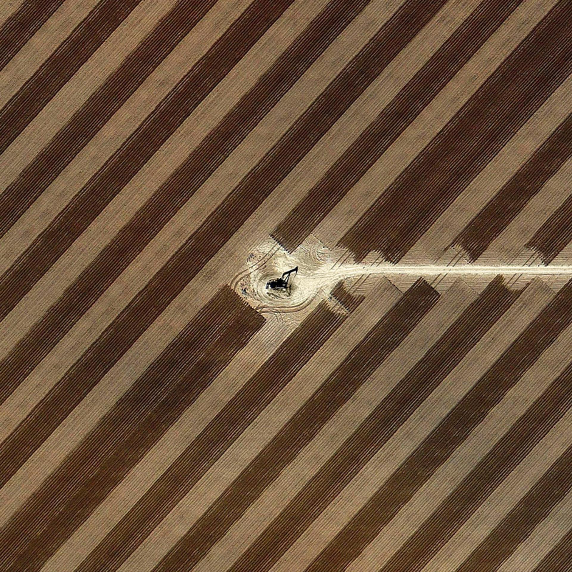 API 21-930-915. San Andres, Texas. 2012.