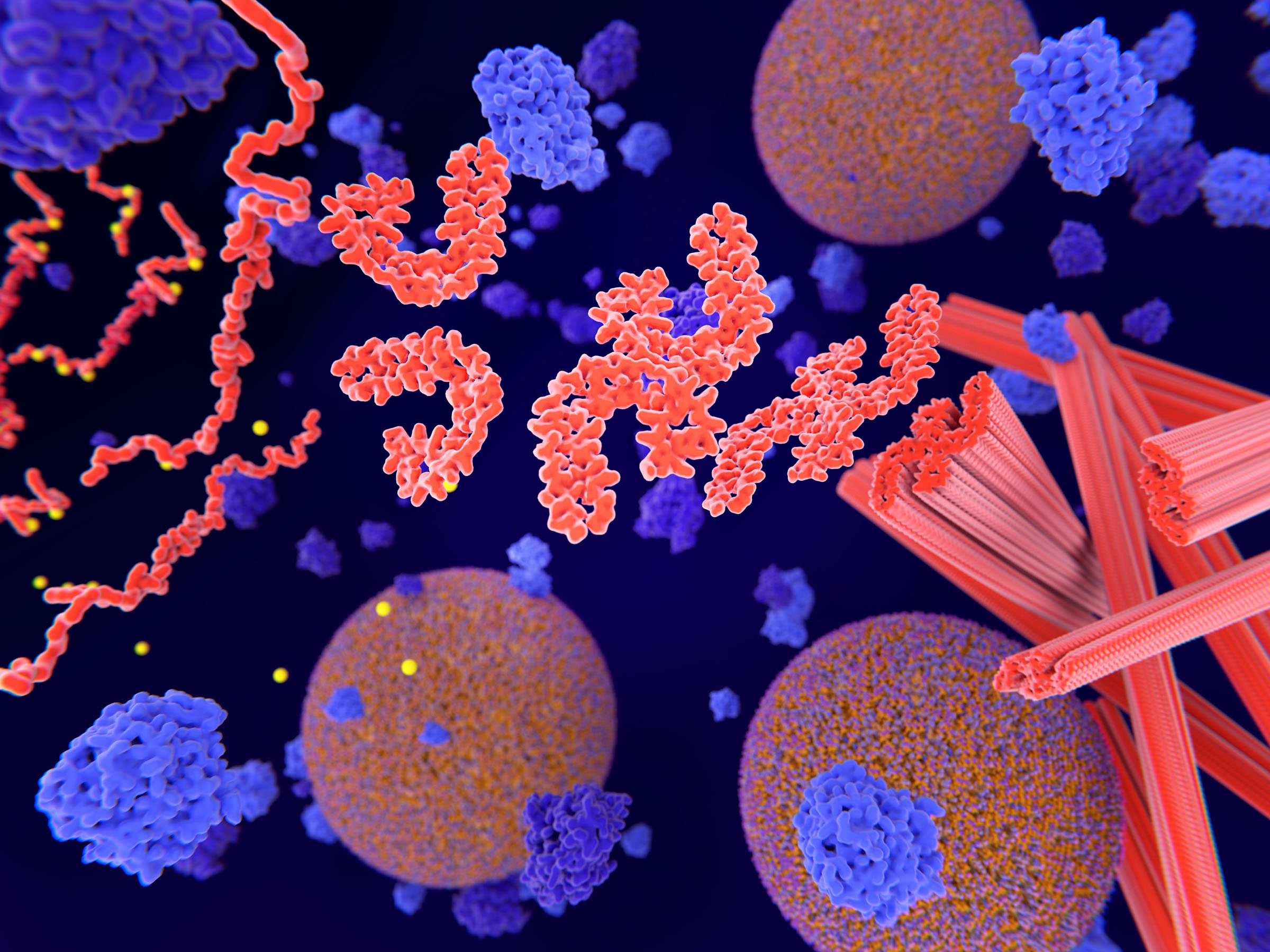 ALZpath pTau217 Antibody: the 200 Best Inventions of 2024