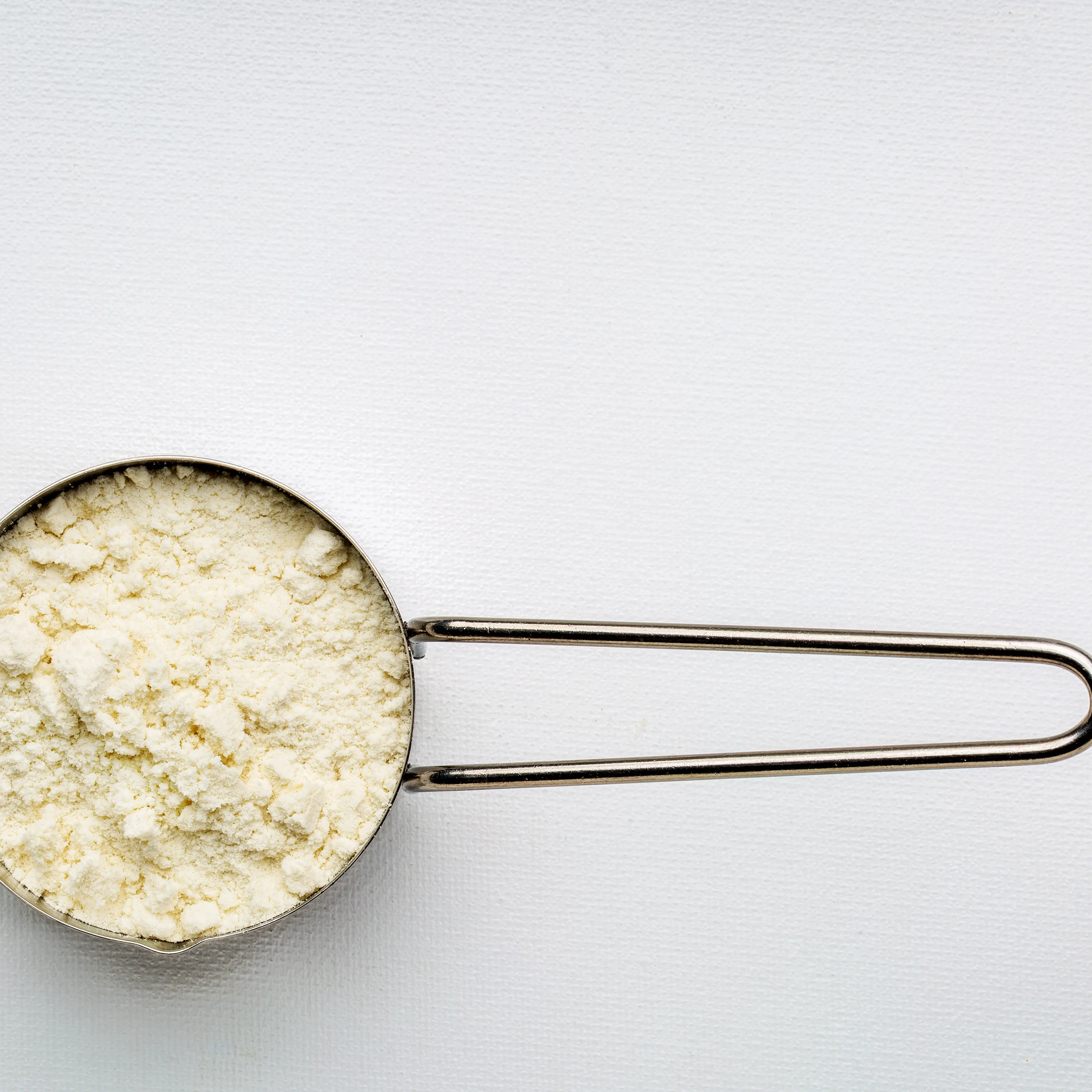 scoop of whey protein powder