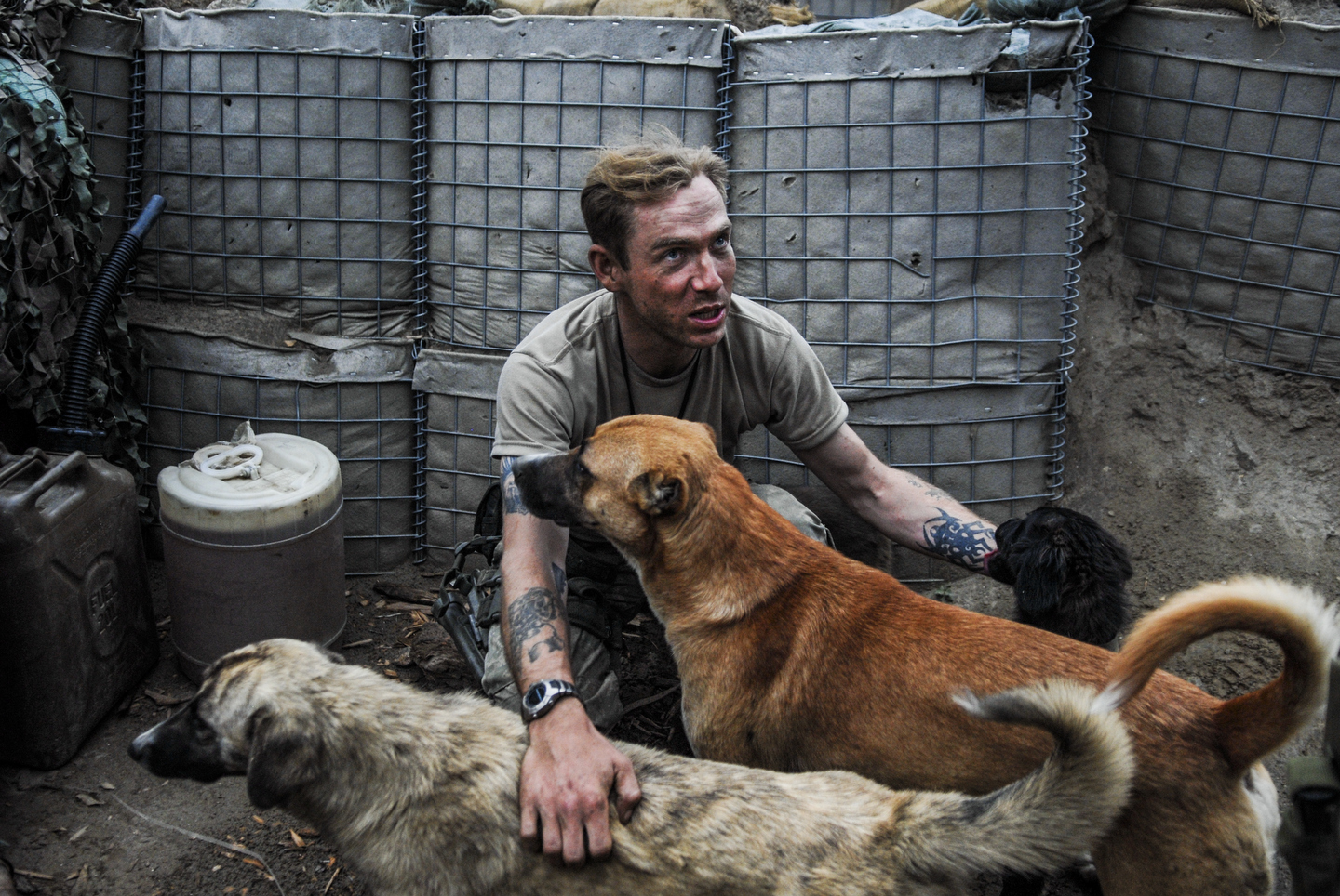 Afghanistan, 2007. A number of strays hung around Patrol Base California in Kunar Province, Afghanistan, waiting for food and company. Usually the soldiers welcomed them. But, a few weeks earlier, when one of the dogs urinated on a soldier’s cot, he and his buddies allegedly shot the dog to pieces.</br>

