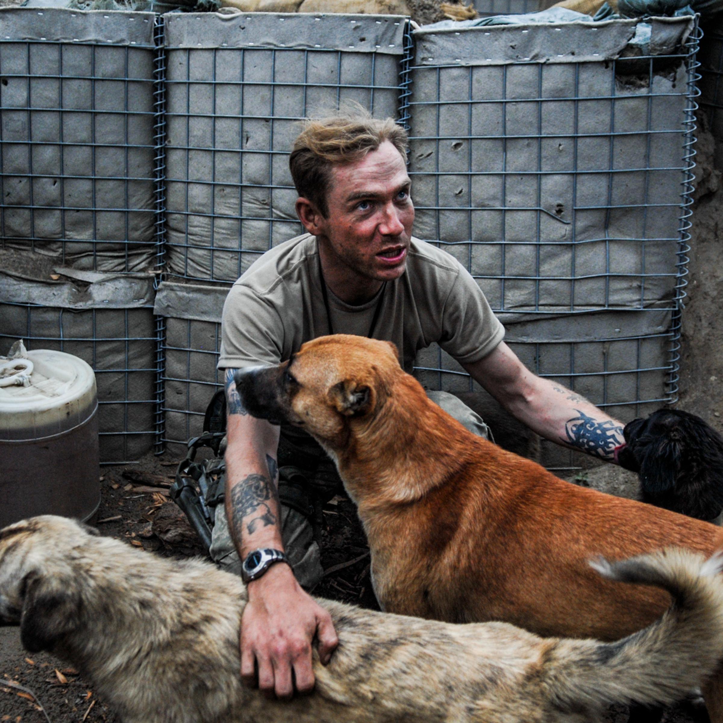 Afghanistan, 2007. A number of strays hung around Patrol Base California in Kunar Province, Afghanistan, waiting for food and company. Usually the soldiers welcomed them. But, a few weeks earlier, when one of the dogs urinated on a soldier’s cot, he and his buddies allegedly shot the dog to pieces.</br>