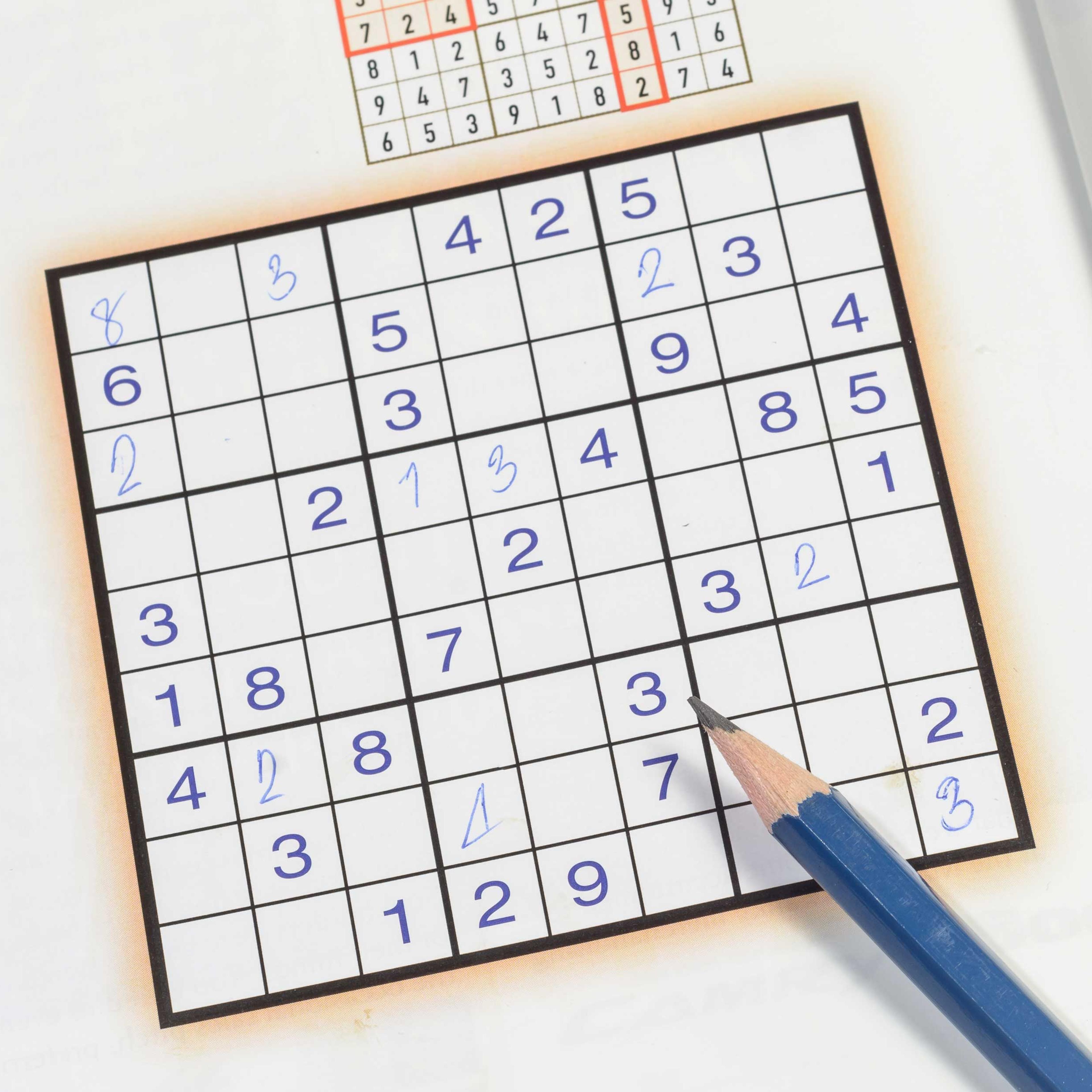 sudoku puzzle