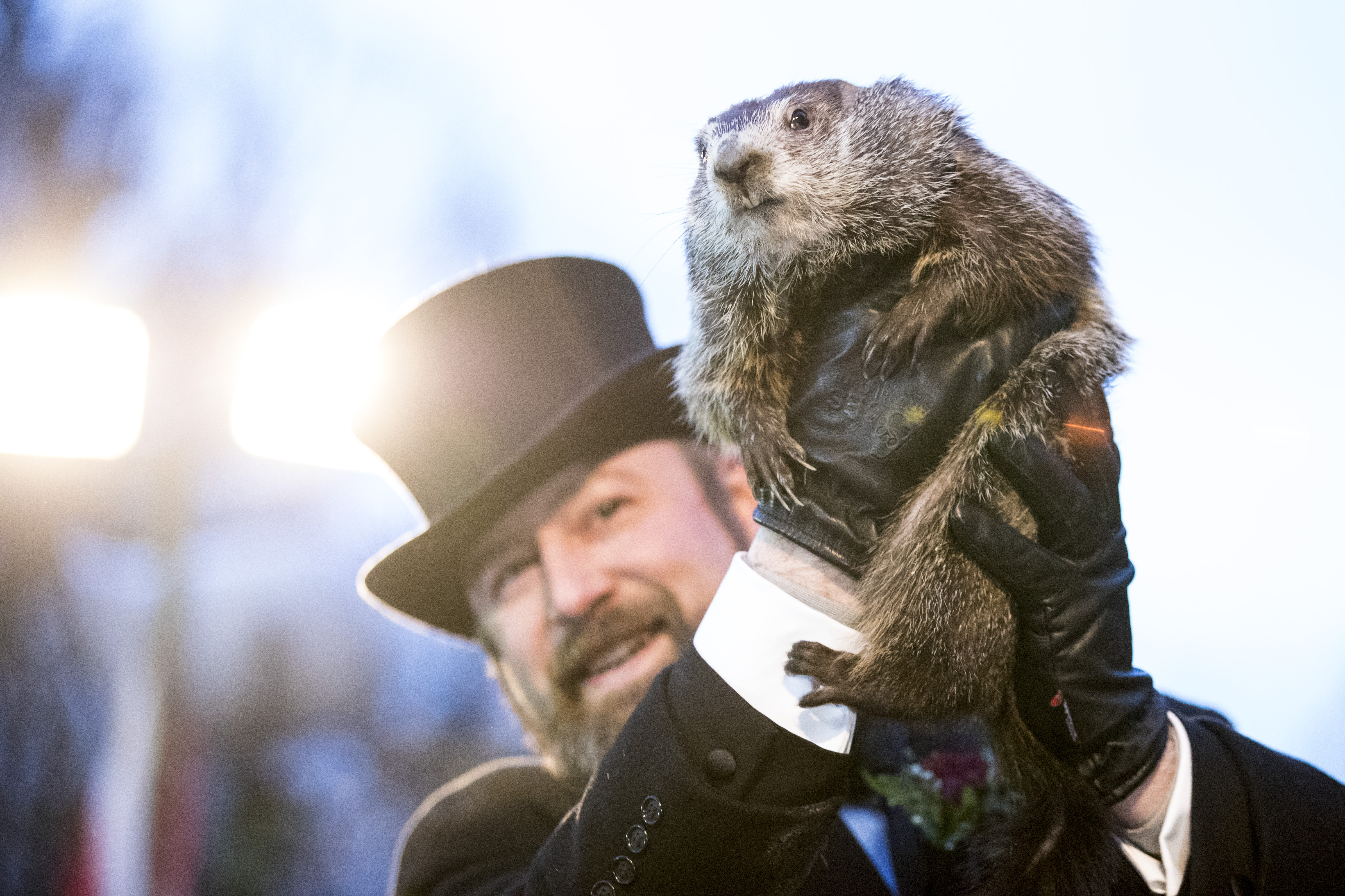 "Punxsutawney Phil" Makes Annual Winter Prediction On Groundhog Day