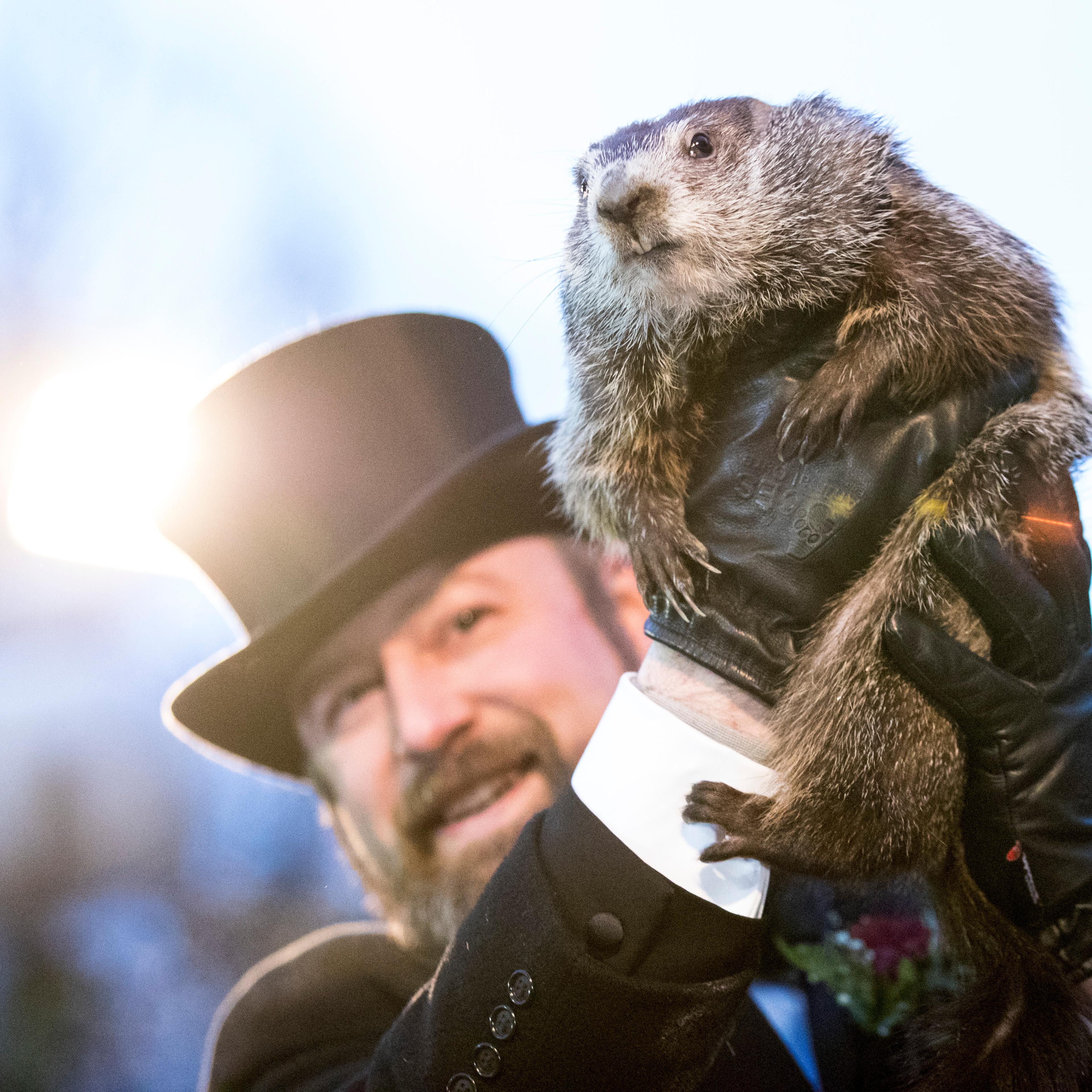 "Punxsutawney Phil" Makes Annual Winter Prediction On Groundhog Day