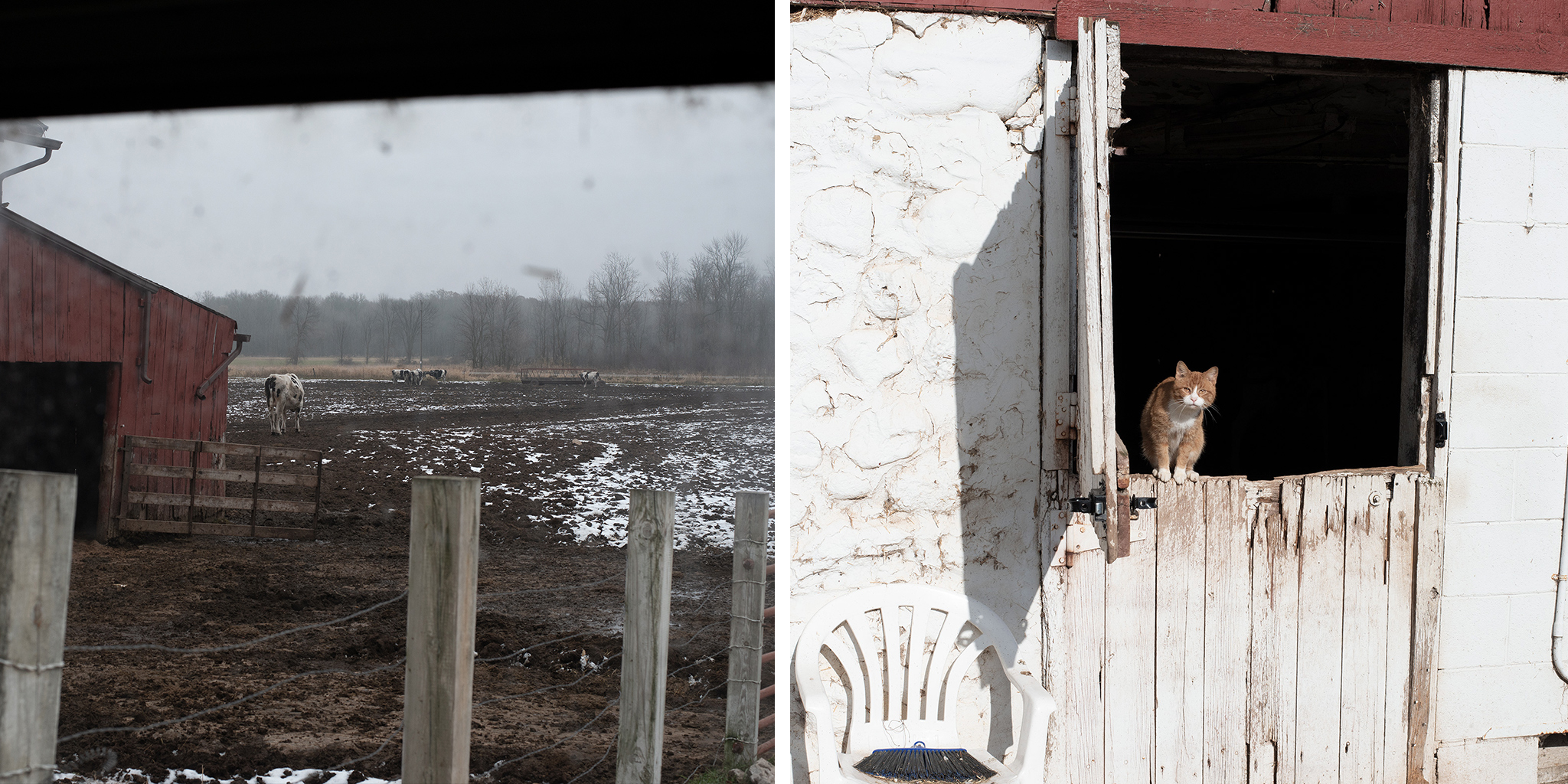 American Farmers Are in Crisis. Here's Why