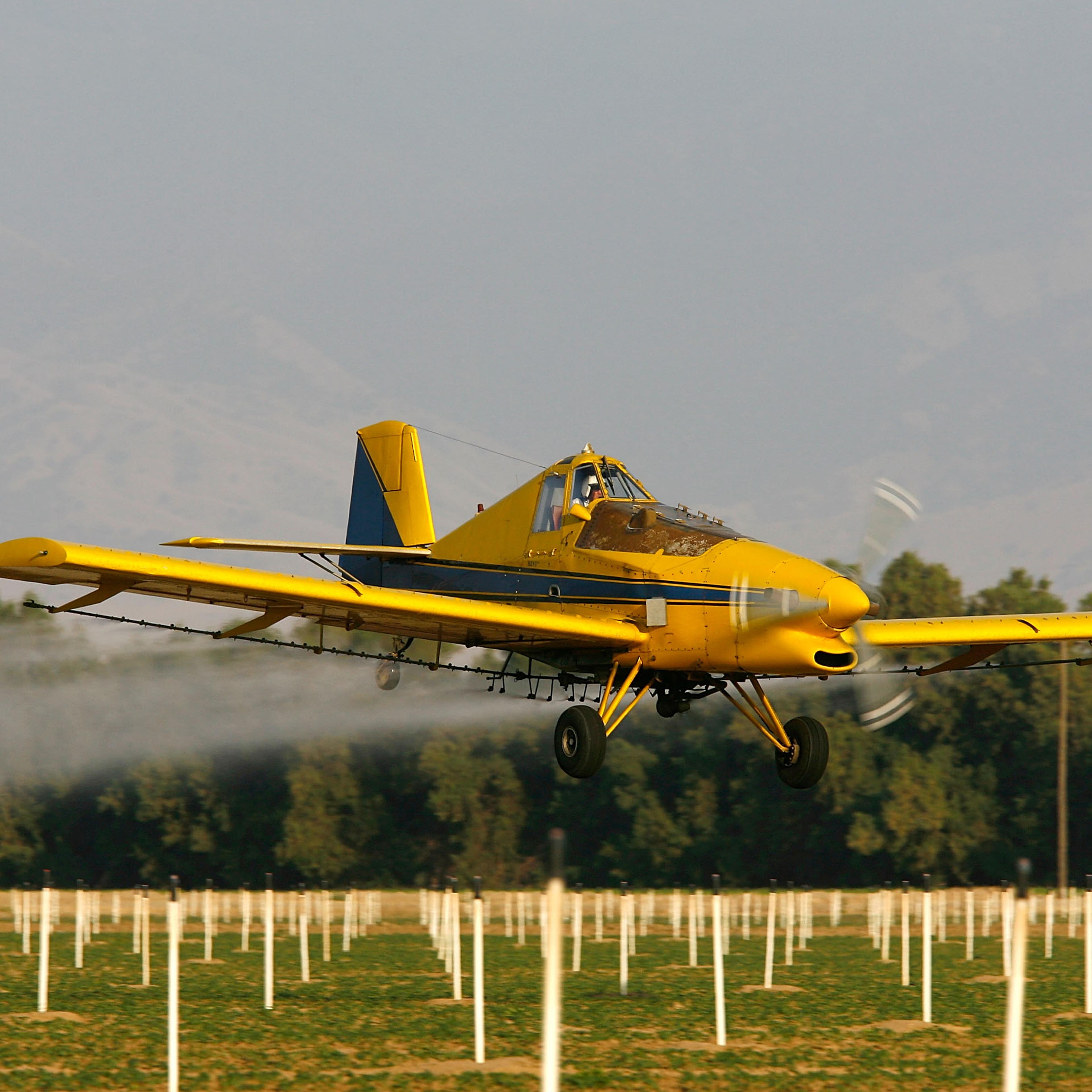 Agriculture pesticide organophosphate
