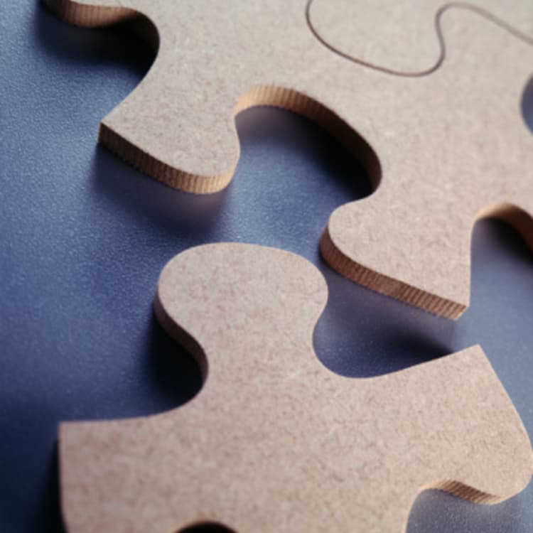 jigsaw-puzzle-pieces