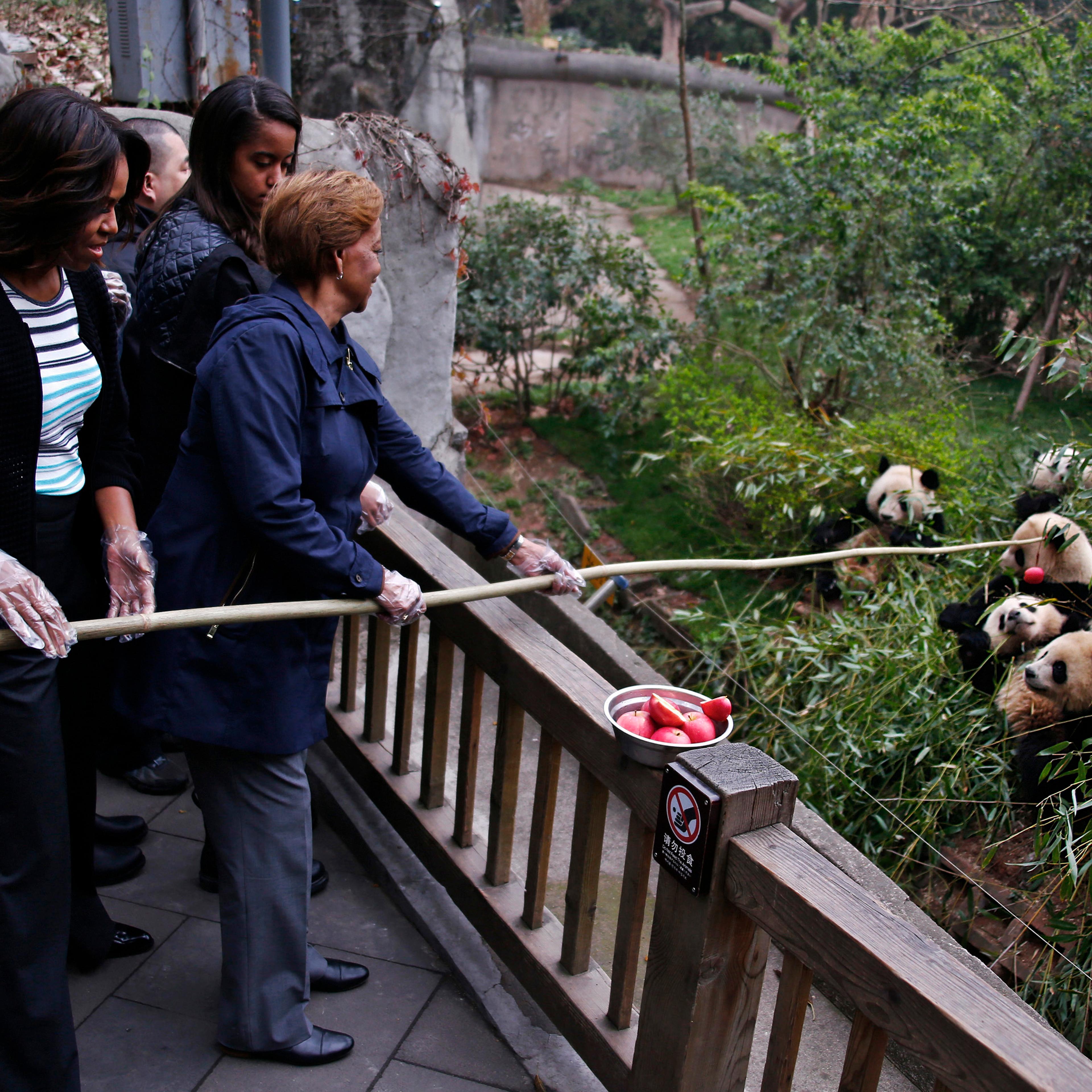 U.S. first lady Michelle Obama and her mother Marian Robinson feed apple to giant pandas as they visit Giant Panda Research Base in Chengdu
