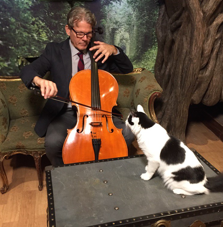 Cellist and musician David Teie, a soloist with America's National Symphony Orchestra, has created the first ever album specifically for cats to listen to