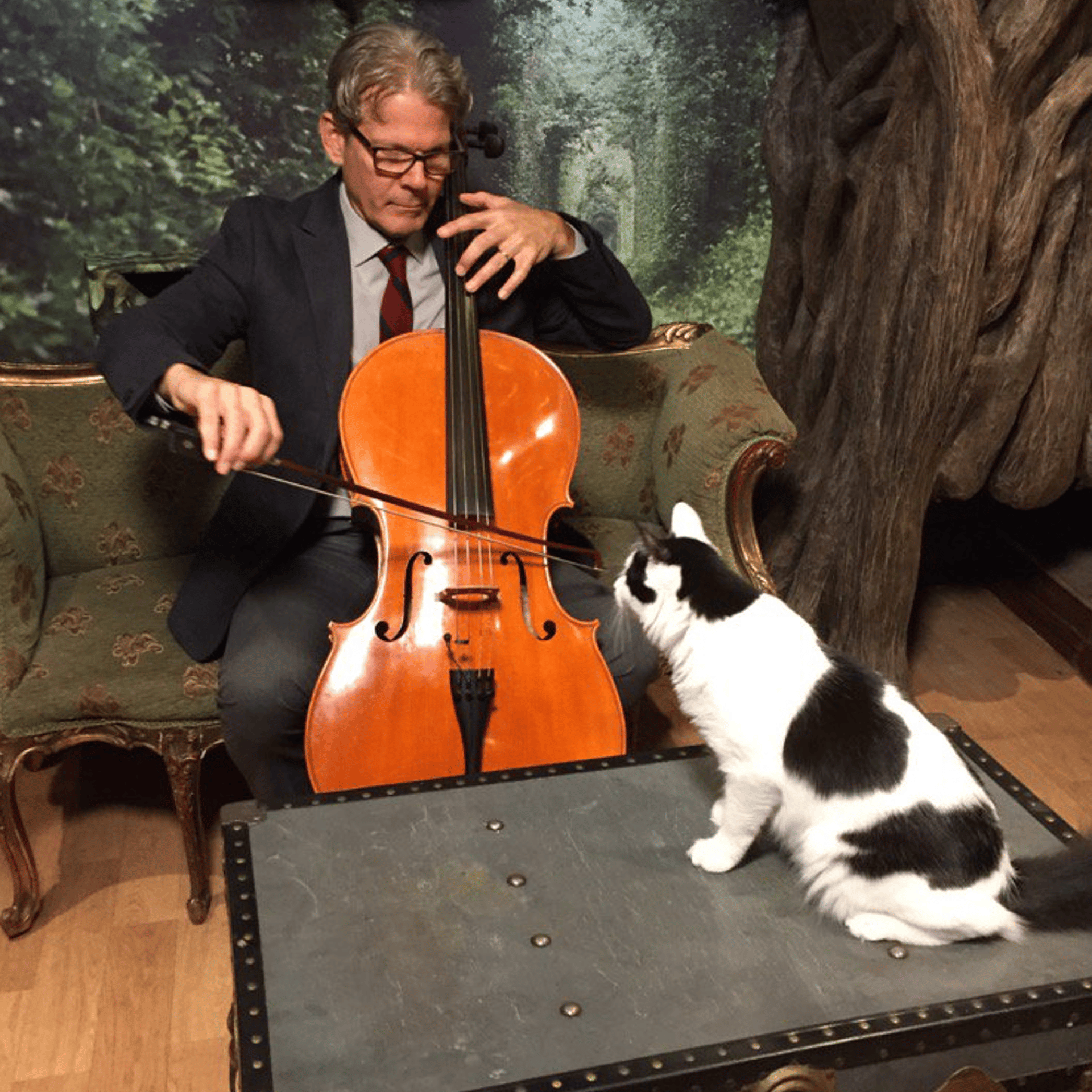 Cellist and musician David Teie, a soloist with America's National Symphony Orchestra, has created the first ever album specifically for cats to listen to
