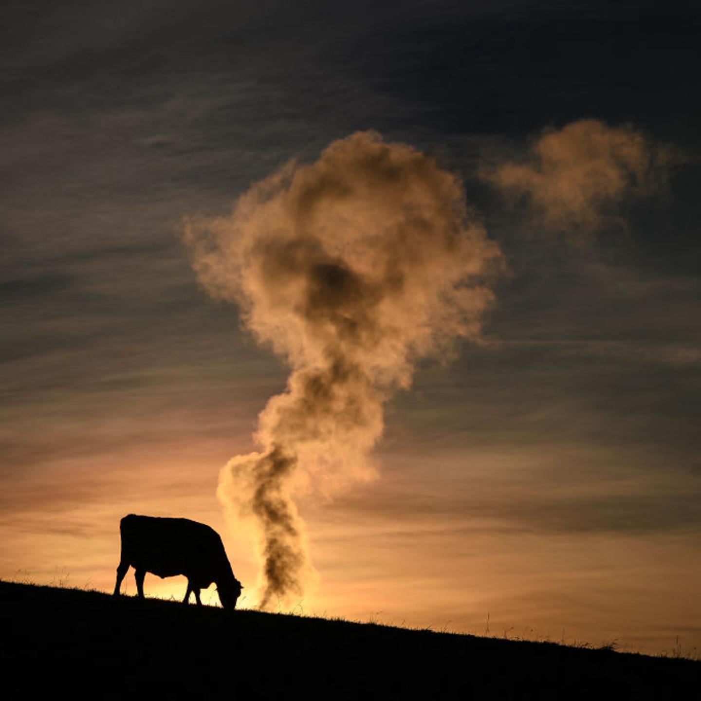 TOPSHOT-SWITZERLAND-FARMING-WASTE-ENVIRONMENT