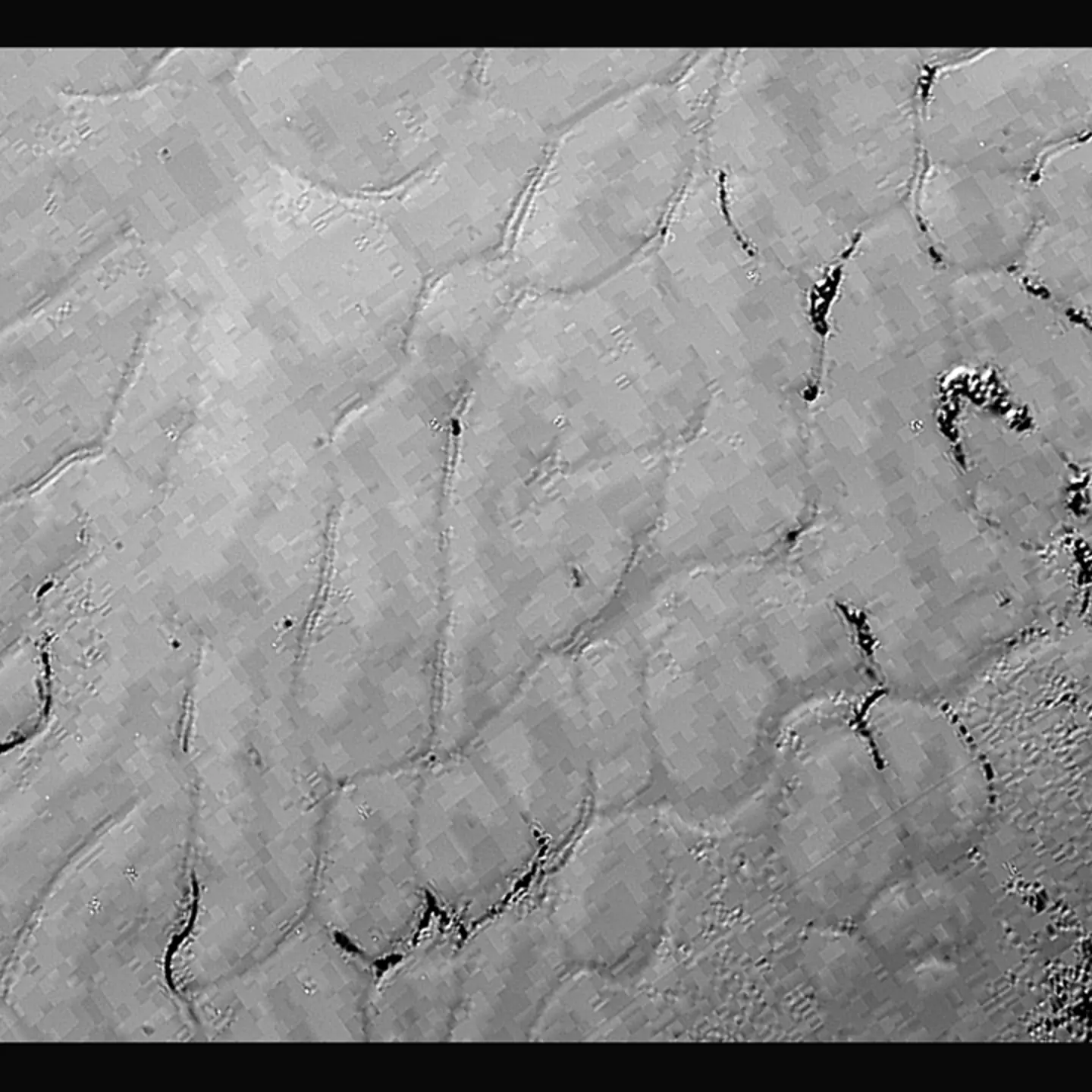 In the center left of Pluto’s vast heart-shaped feature – informally named “Tombaugh Regio” - lies a vast, craterless plain that appears to be no more than 100 million years old, and is possibly still being shaped by geologic processes. This frozen region is north of Pluto’s icy mountains and has been informally named Sputnik Planum (Sputnik Plain), after Earth’s first artificial satellite. The surface appears to be divided into irregularly-shaped segments that are ringed by narrow troughs. Features that appear to be groups of mounds and fields of small pits are also visible. This image was acquired by the Long Range Reconnaissance Imager (LORRI) on July 14 from a distance of 48,000 miles (77,000 kilometers). Features as small as one-half mile (1 kilometer) across are visible. The blocky appearance of some features is due to compression of the image.