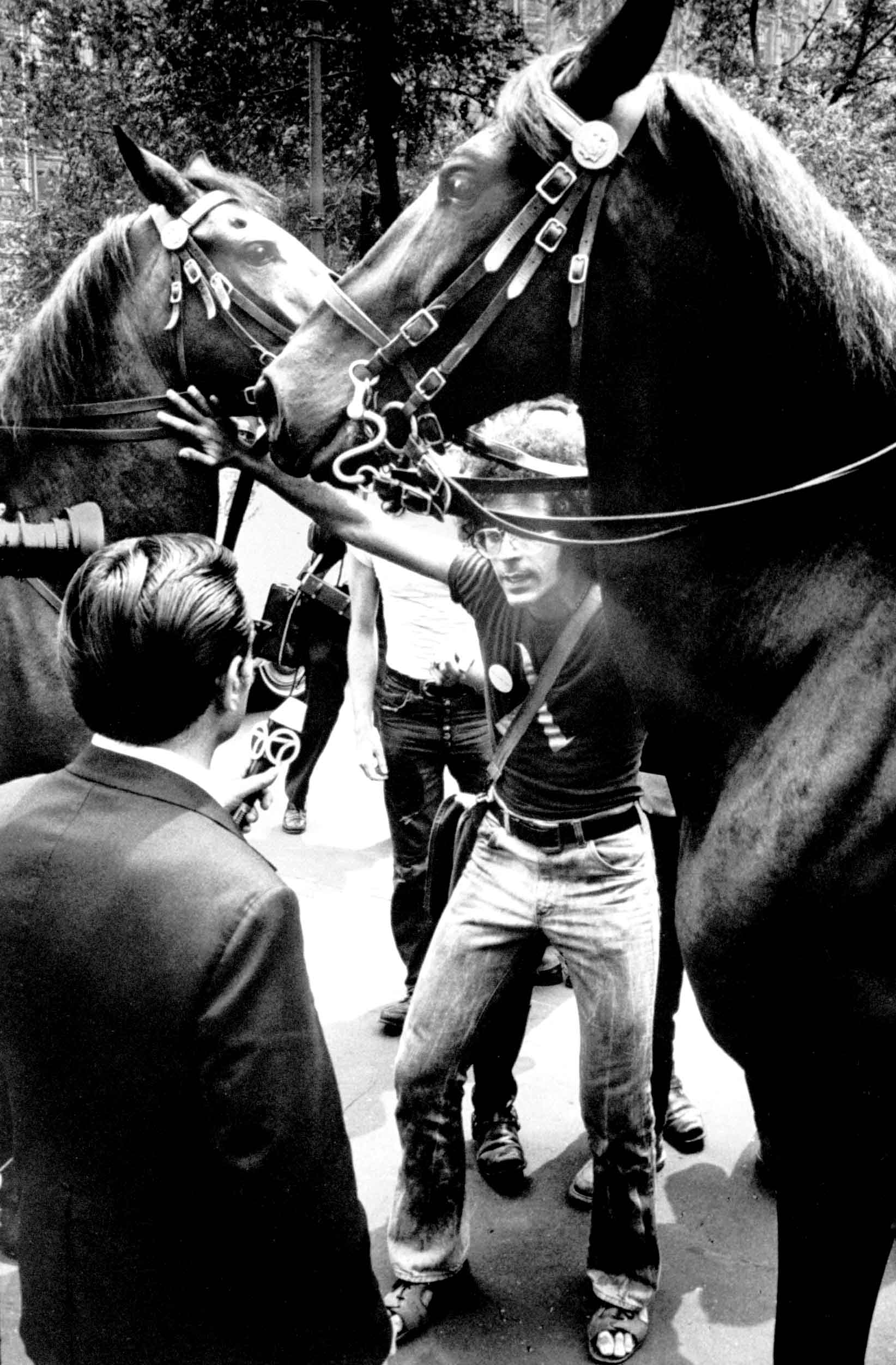 A homosexual activist steps between a pair of police horses to be interviewed during a New York demonstration. Militants often charge police brutality and welcome arrest for the sake of publicity. They also encourage press coverage of their protest actio