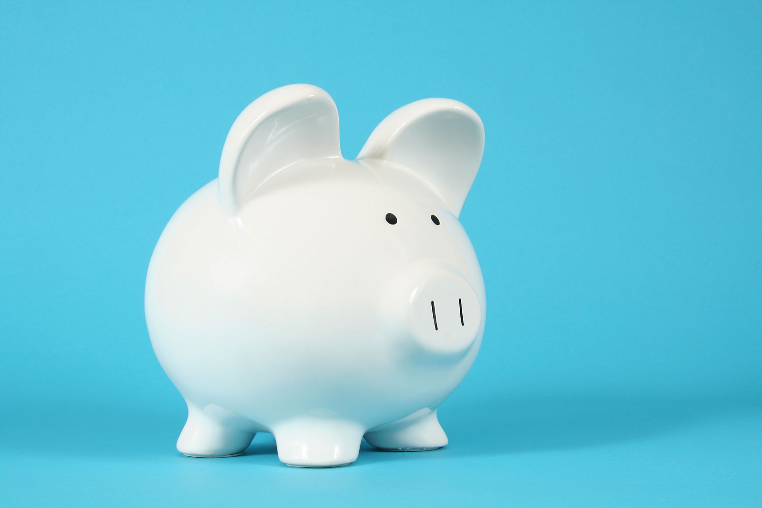 Piggy Bank