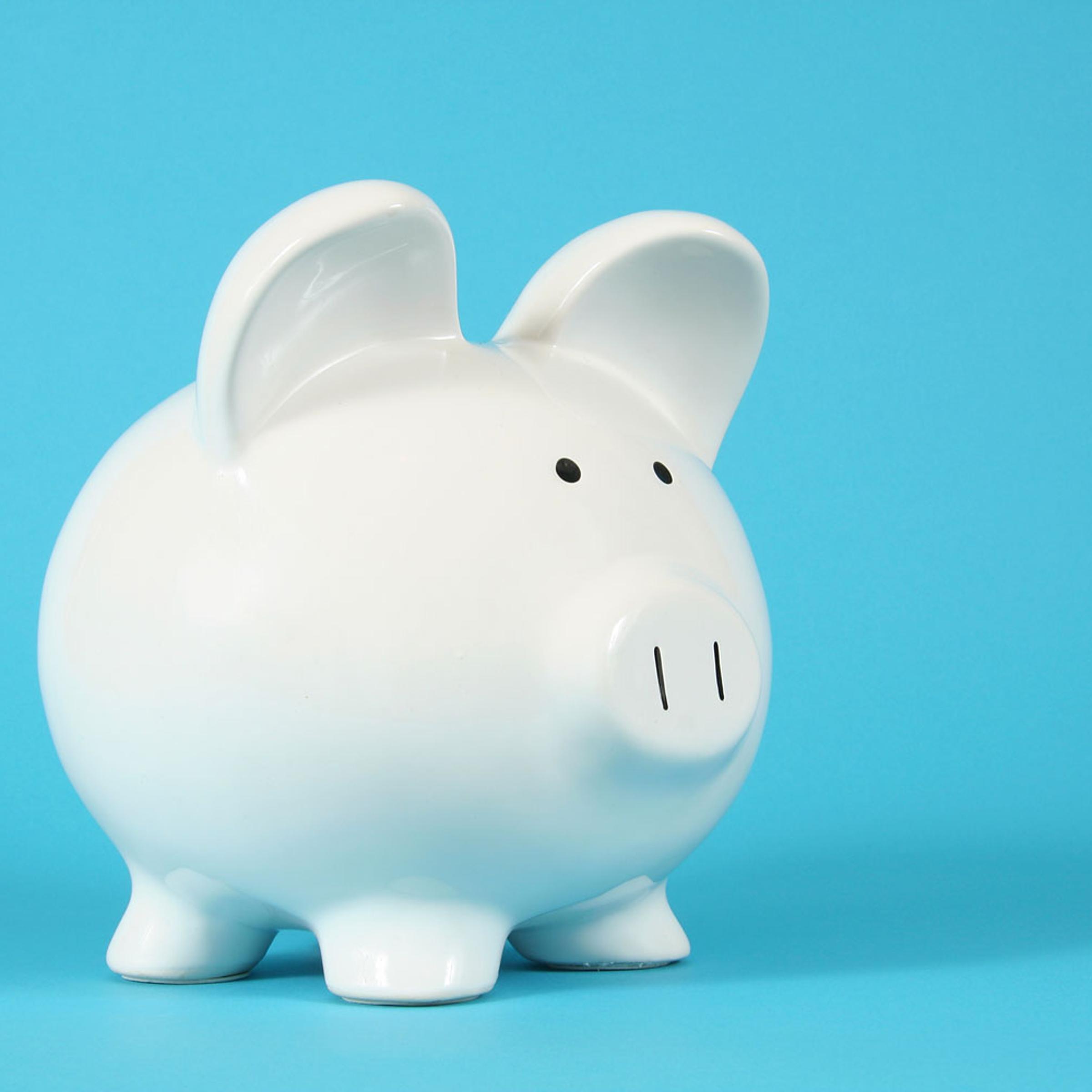 Piggy Bank