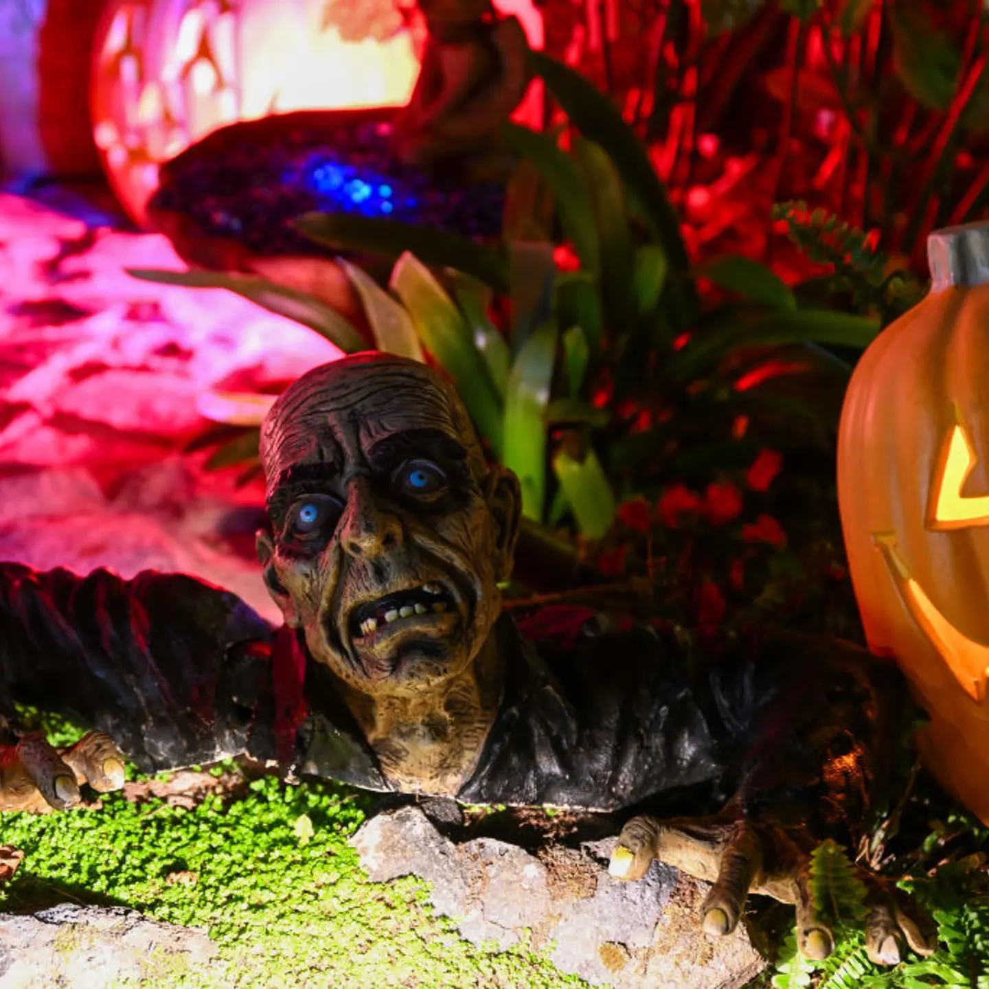 Decorated Halloween houses in San Francisco